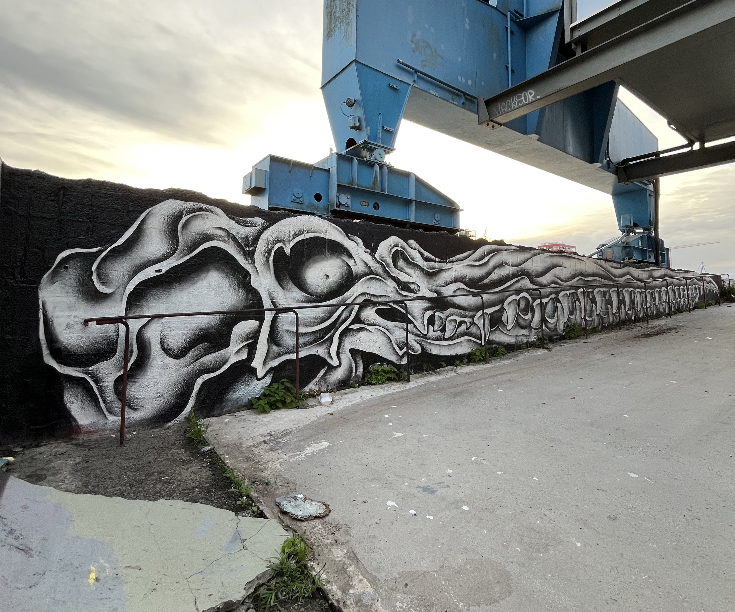 IMG_6628 bewerkt.jpg