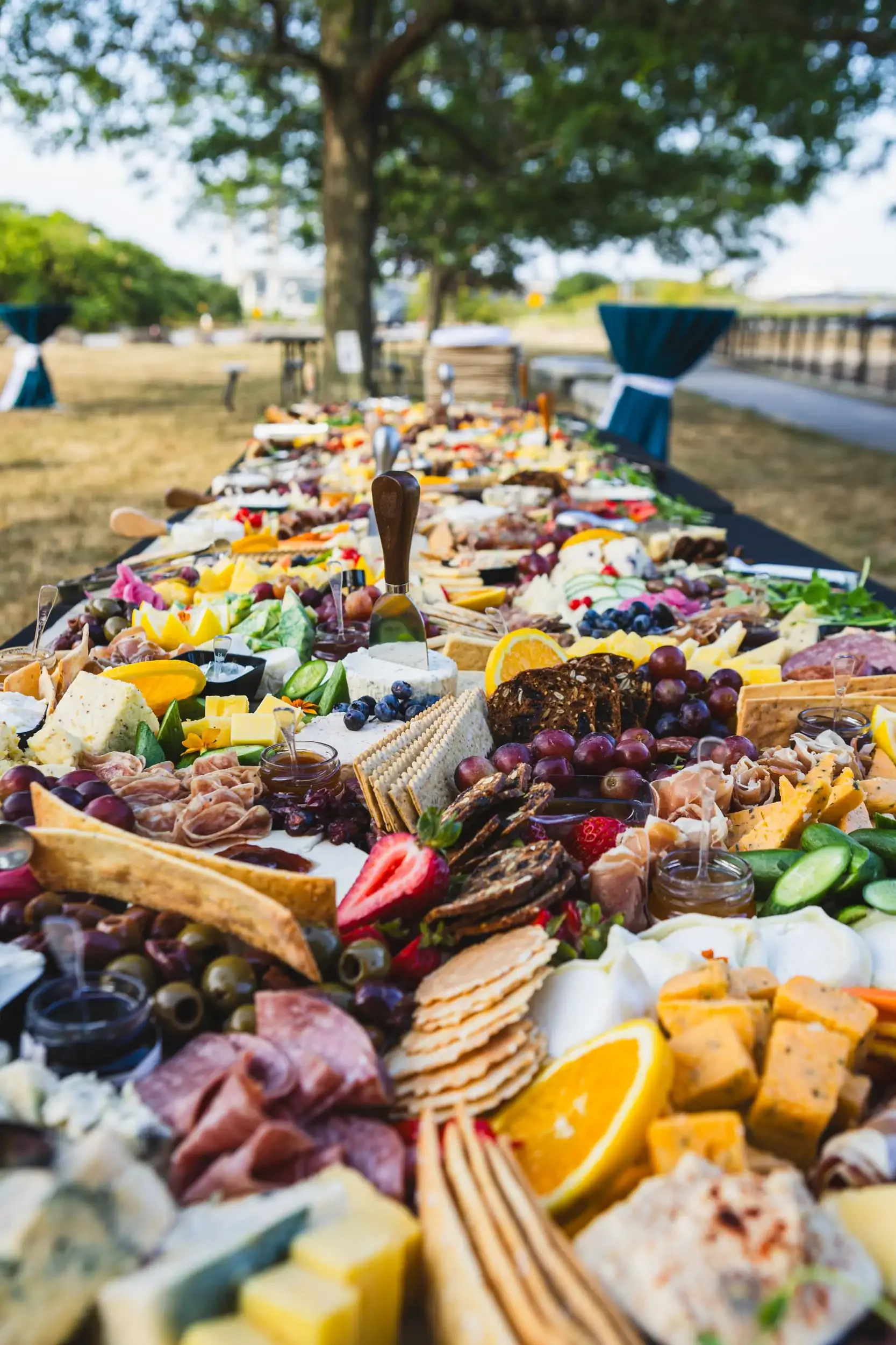 A long outdoor table filled with a variety of cheeses, fruits, crackers, and charcuterie under a tree with a park or field in the background.