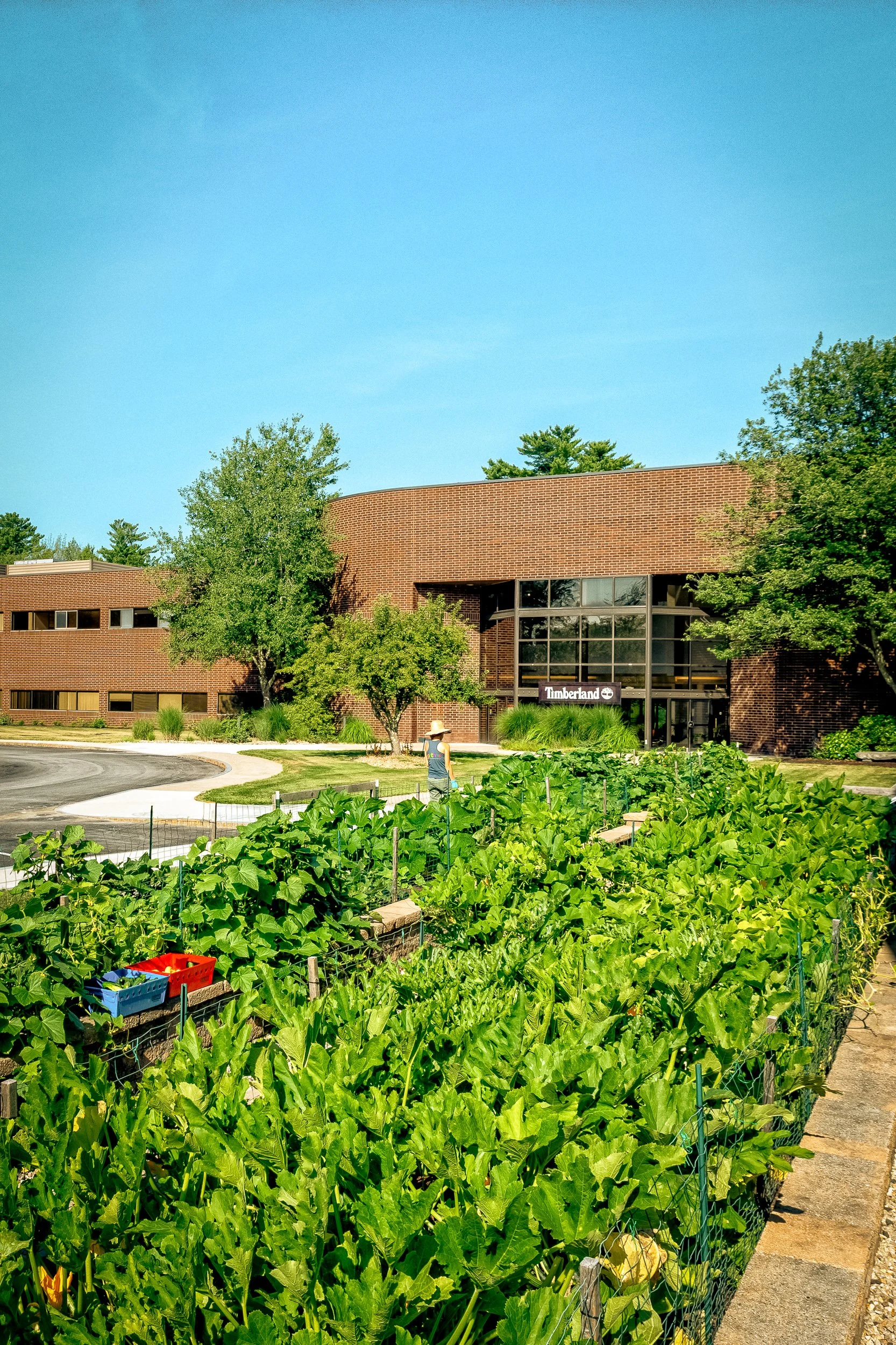 Gather_Timberland-Garden_25-7-24-7.jpg