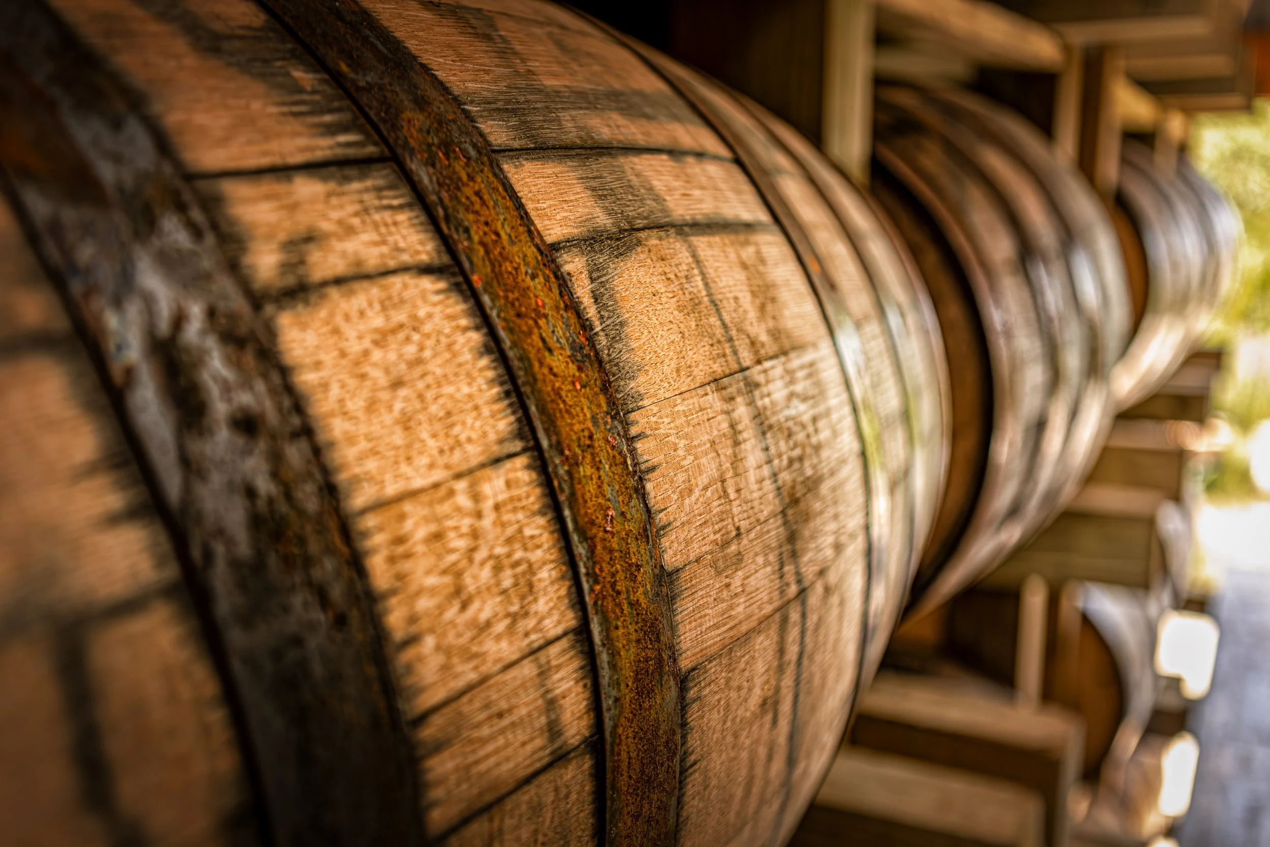 PCL - Wiggly Bridge-8.jpg