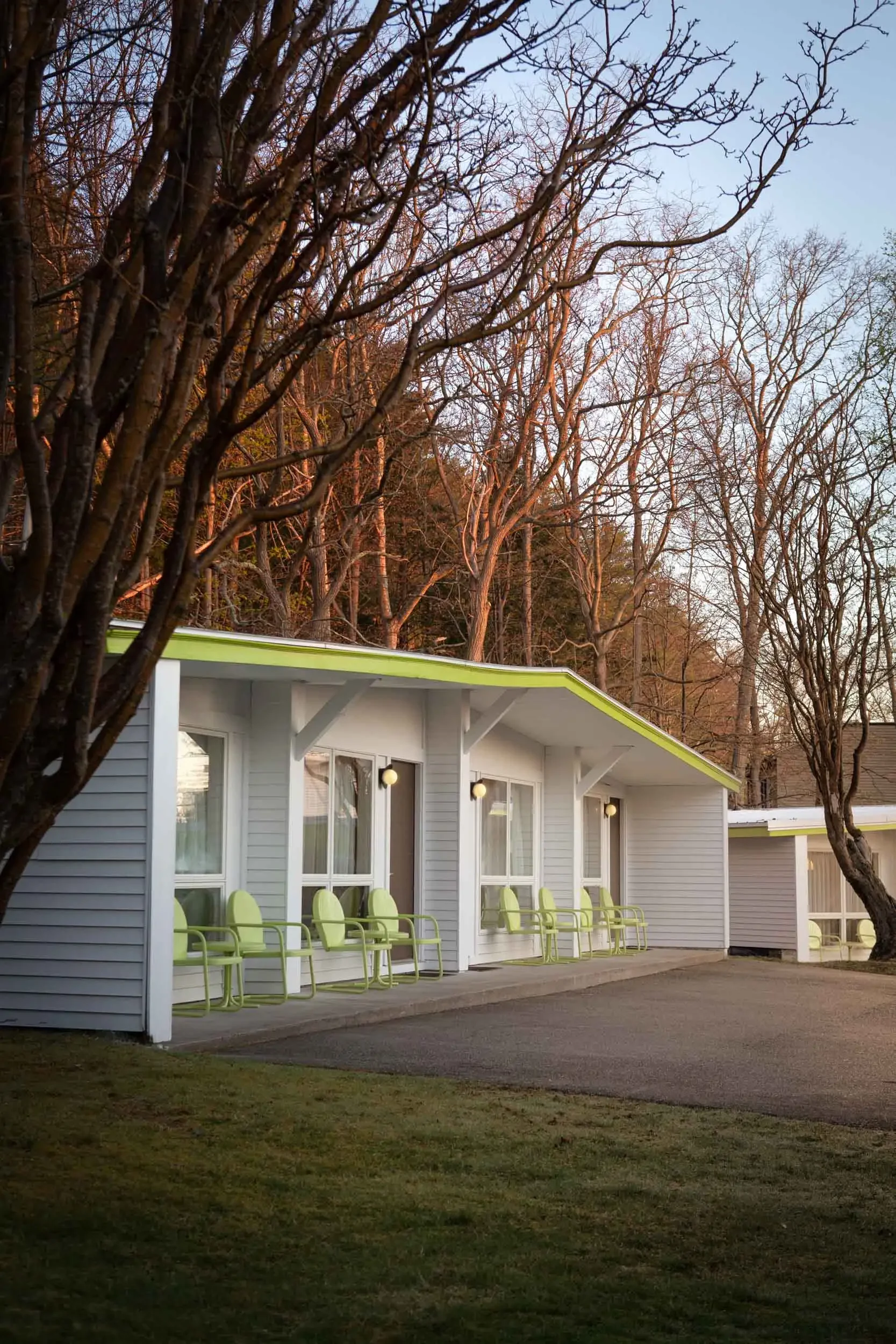 A row of light green chairs outside a modern building with large windows and a light gray exterior, surrounded by leafless trees at sunset or sunrise.