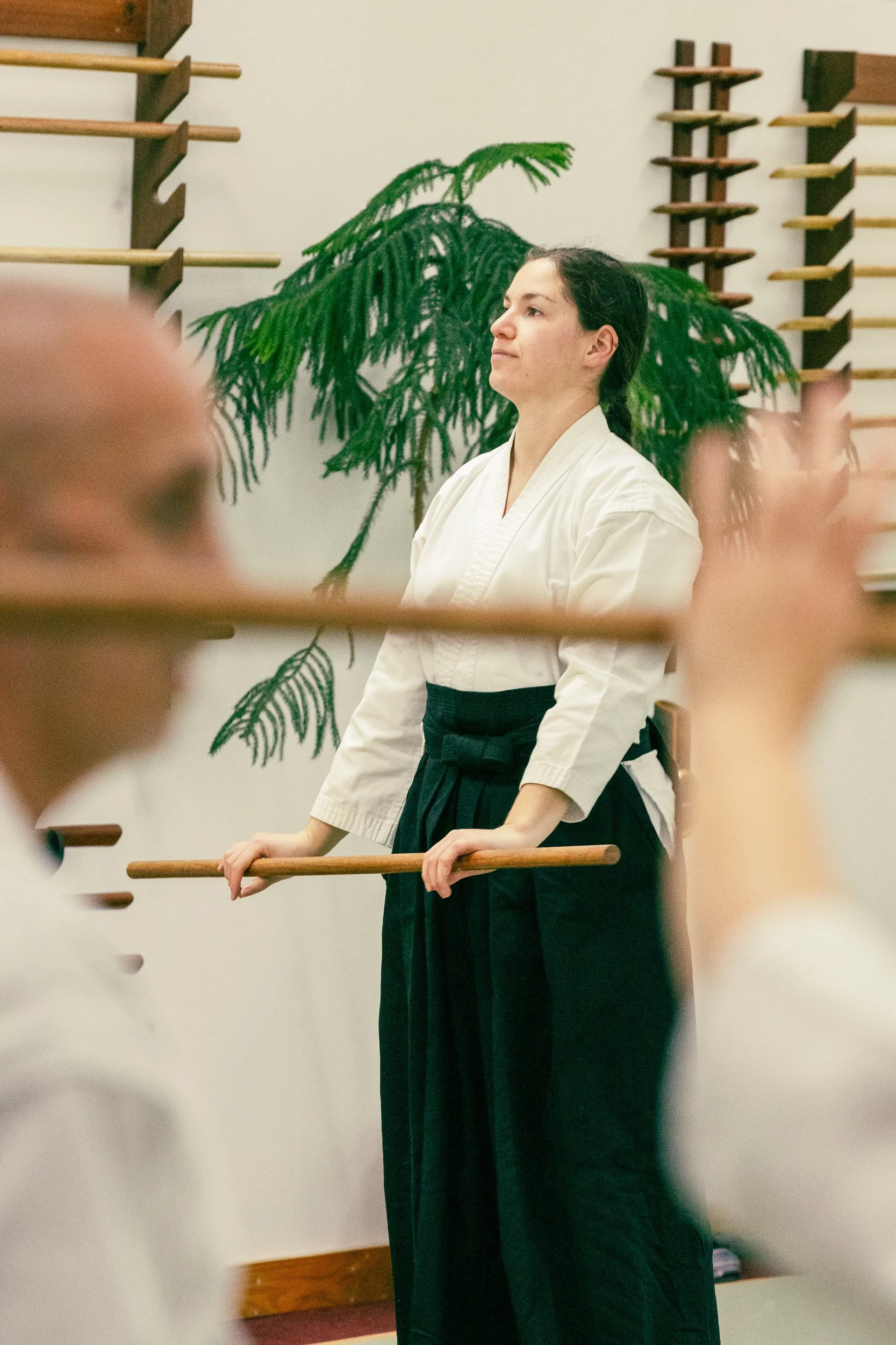 Aikido-13.jpg