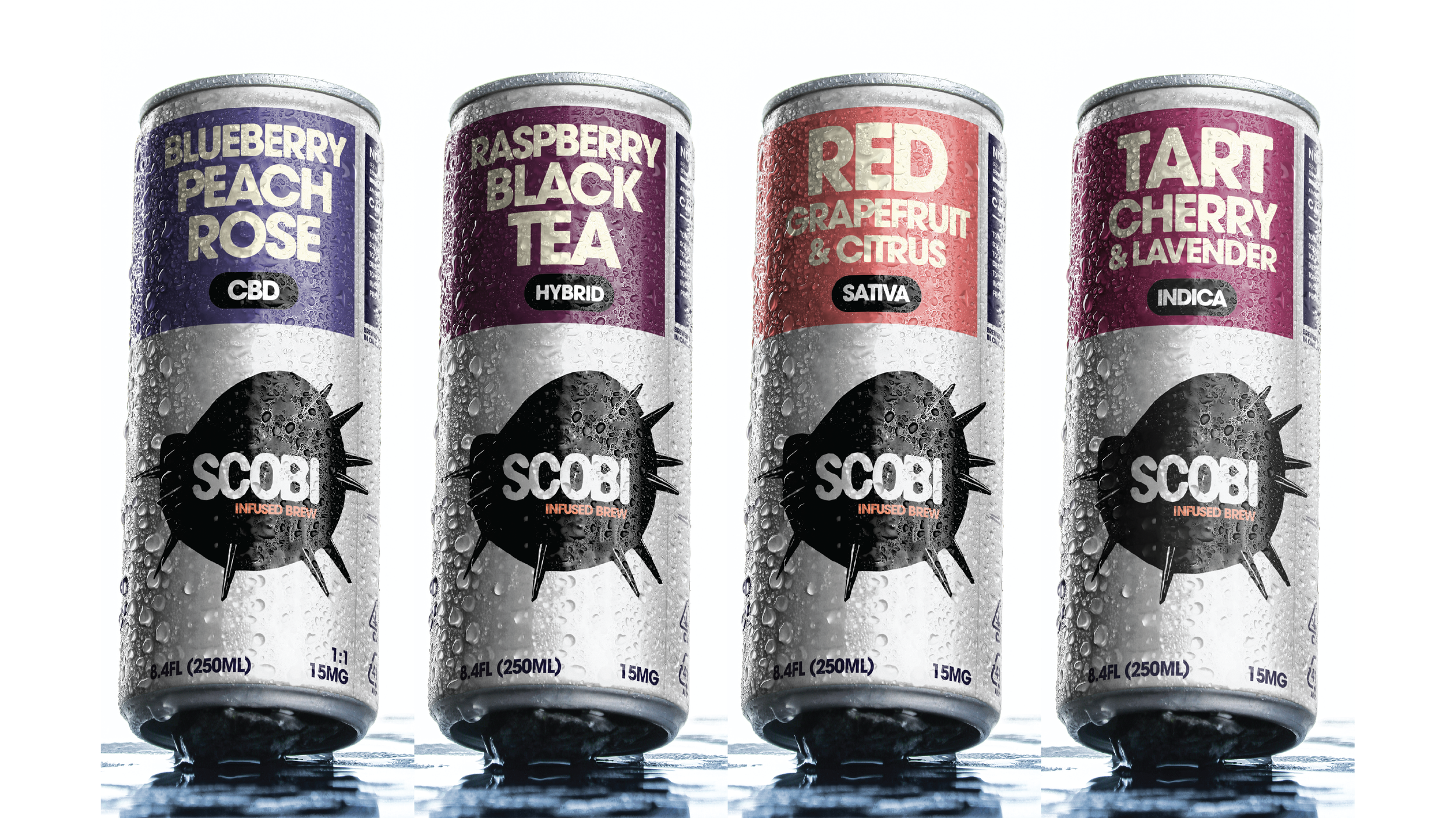sCOBI-wEB-08.png