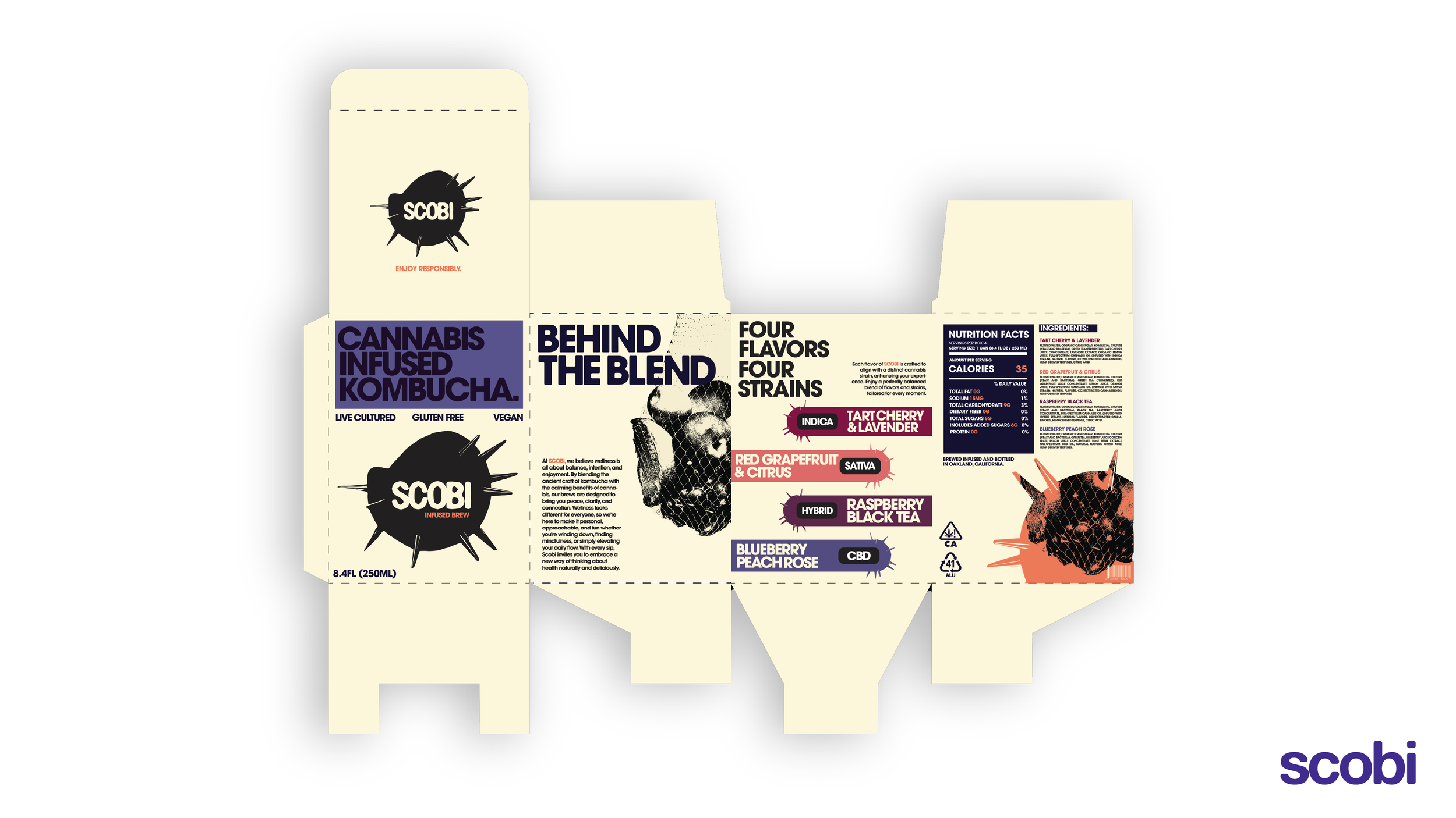 sCOBI-wEB-09.png