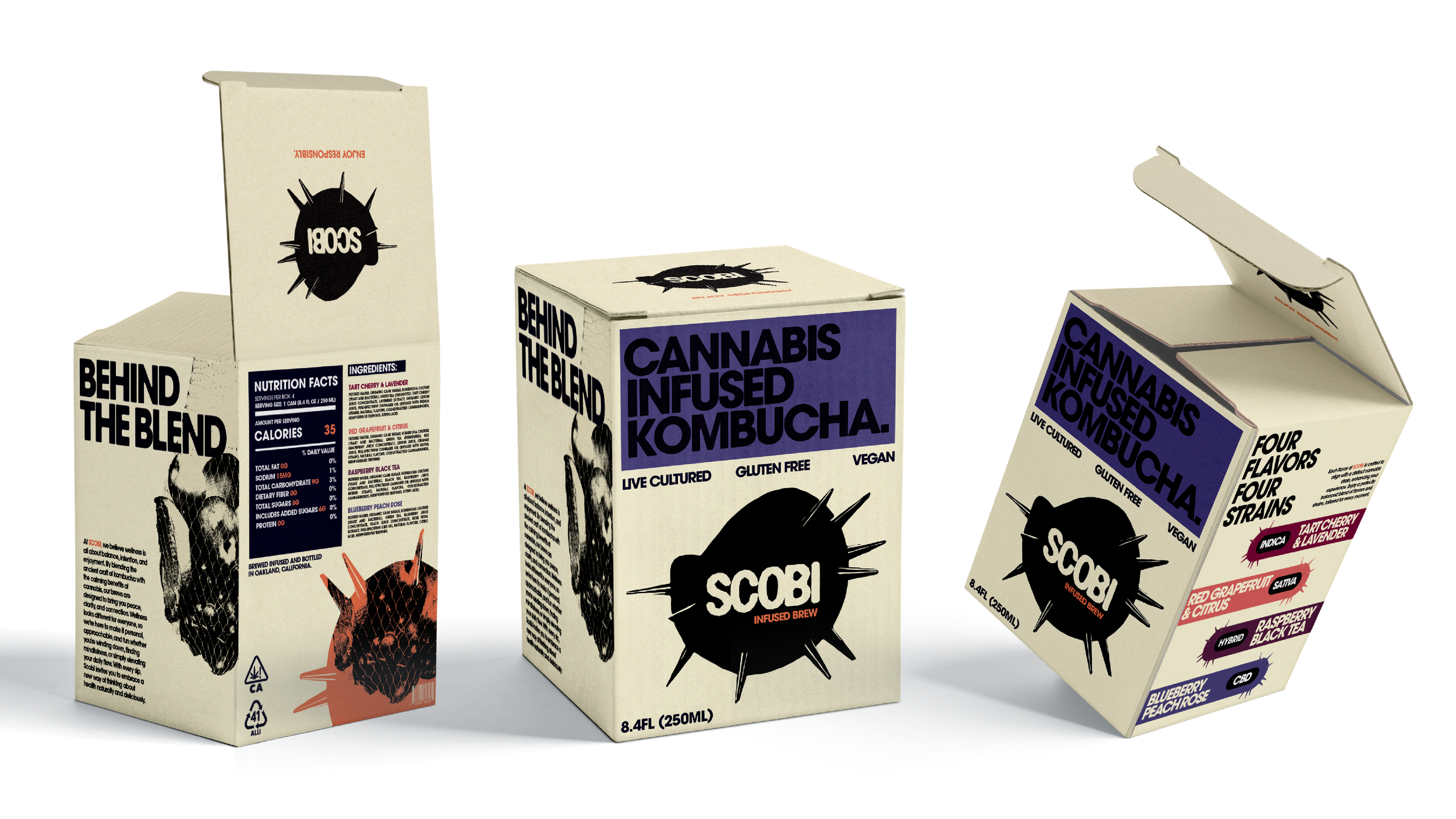sCOBI-wEB-07.png