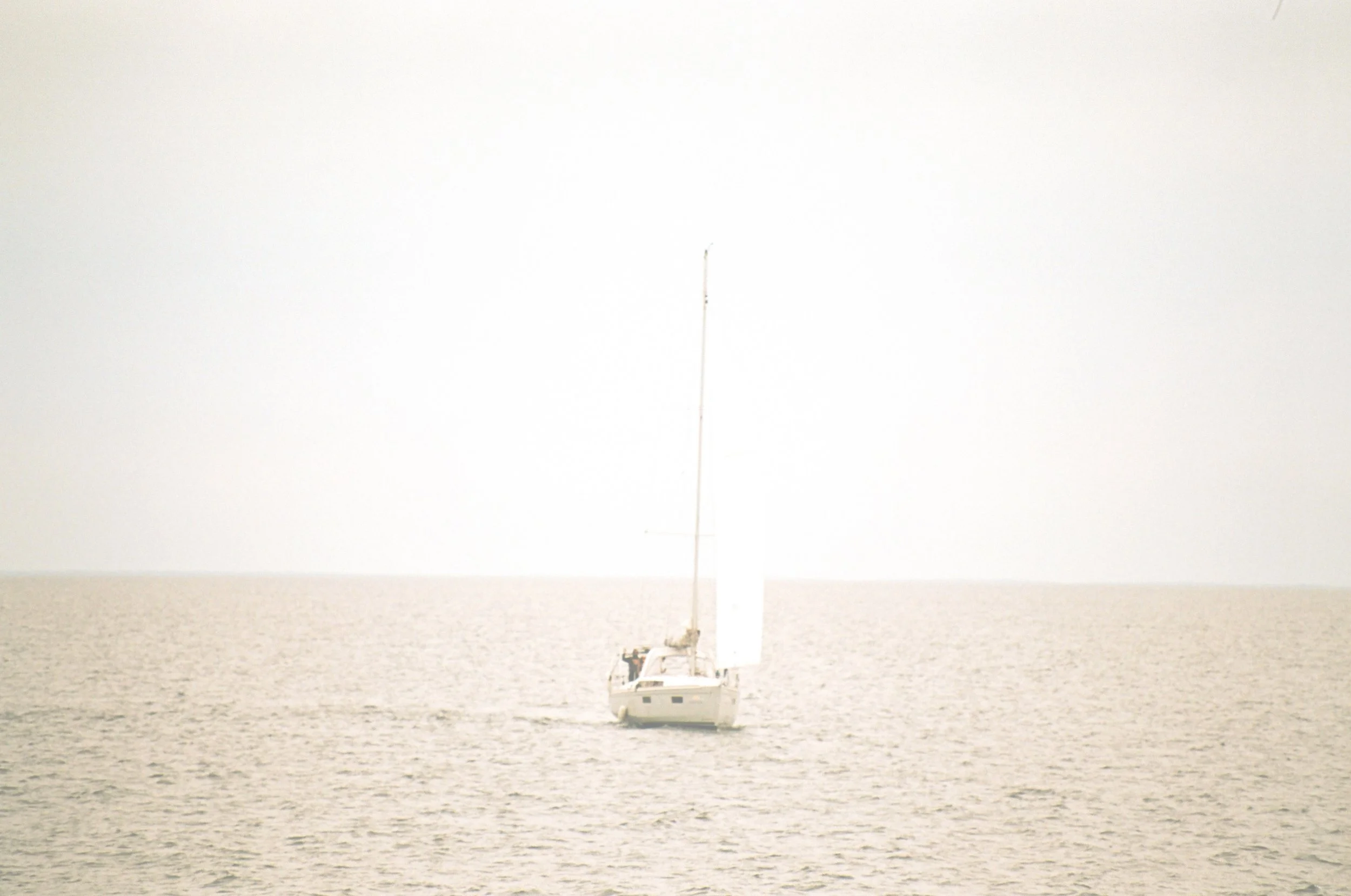 81420024.jpg