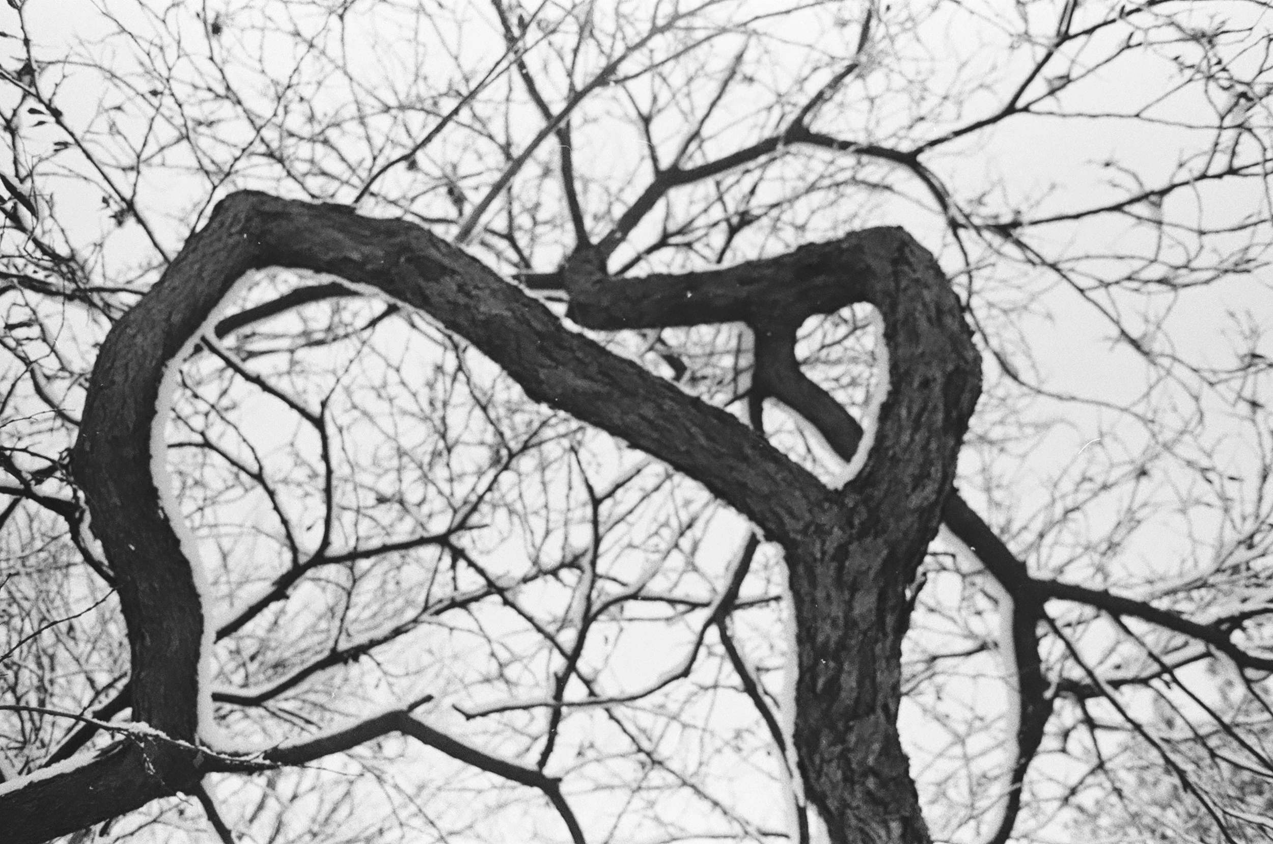 The Seasons Project