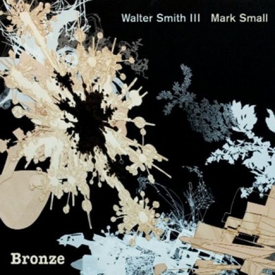 Book cover with abstract floral and geometric designs, titled 'Bronze' by Walter Smith III and Mark Small, with their names at the top.