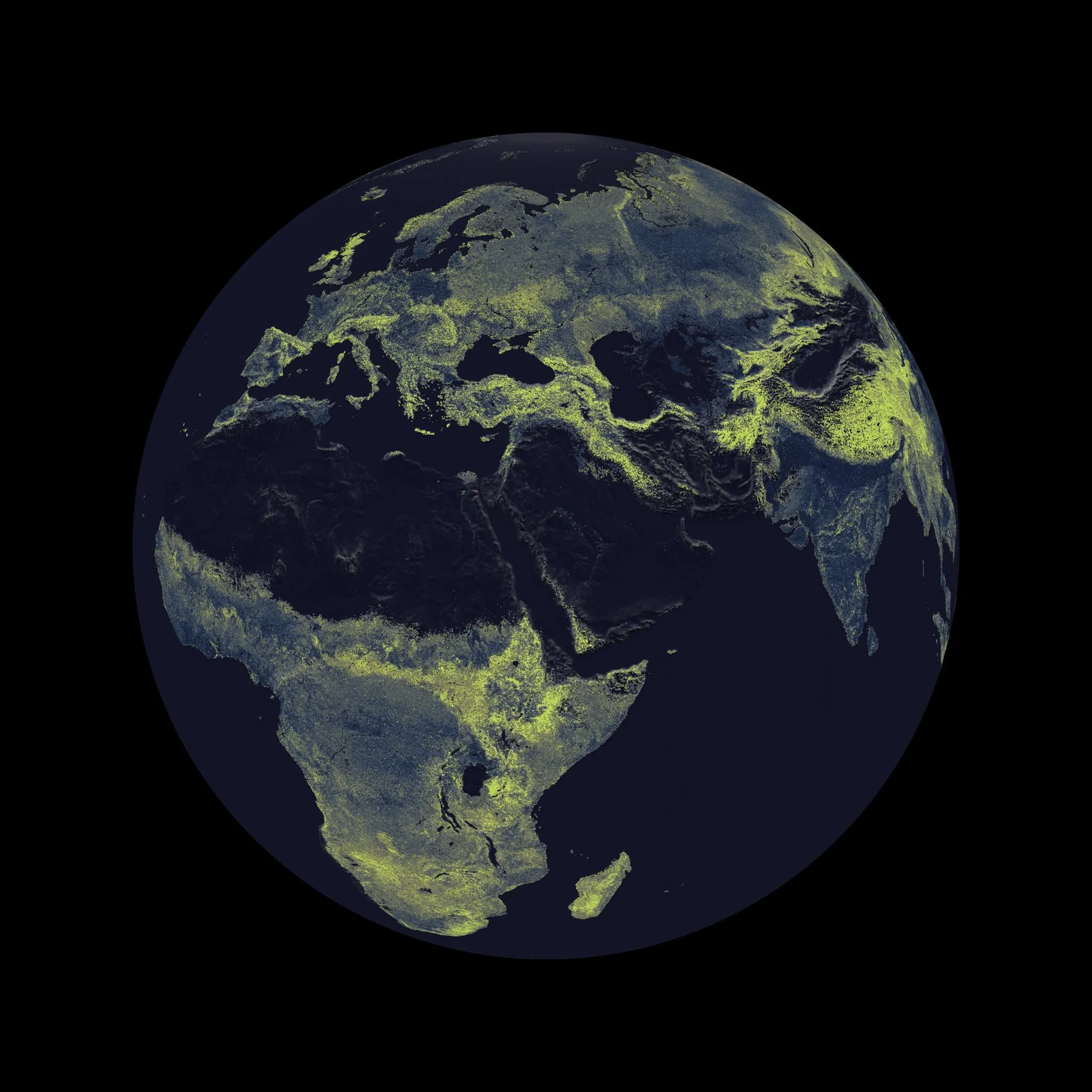 hyphal_map.jpg