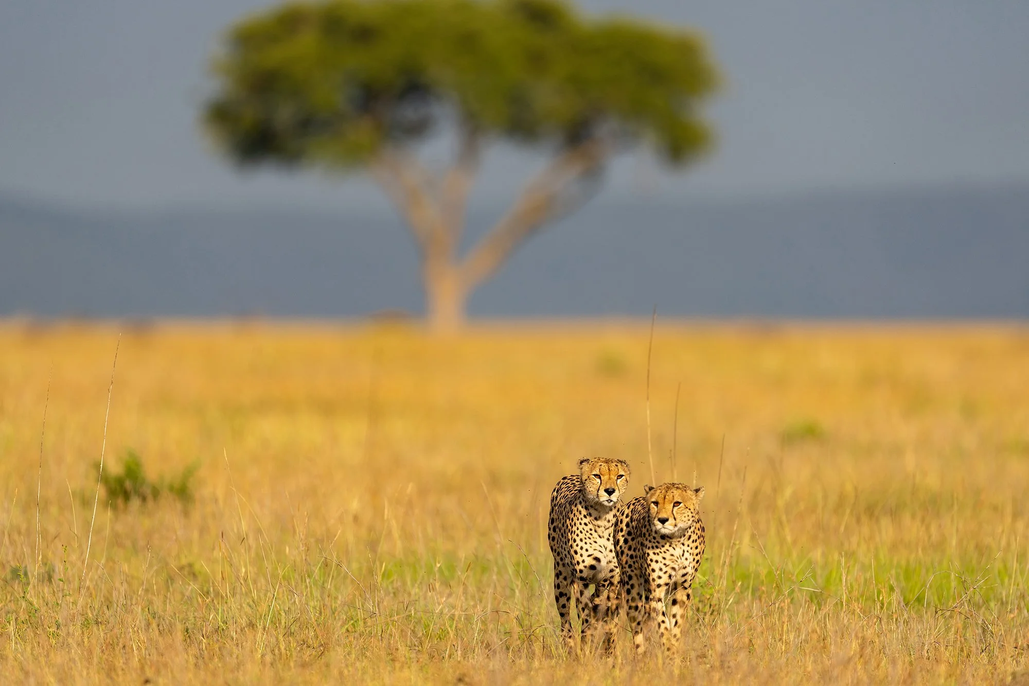 Travel and Tourism Photography & Videography services