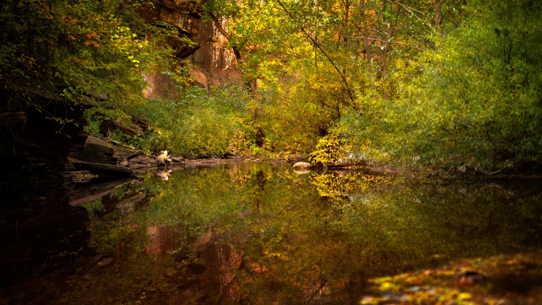 Oak Canyon Autumn Reflections