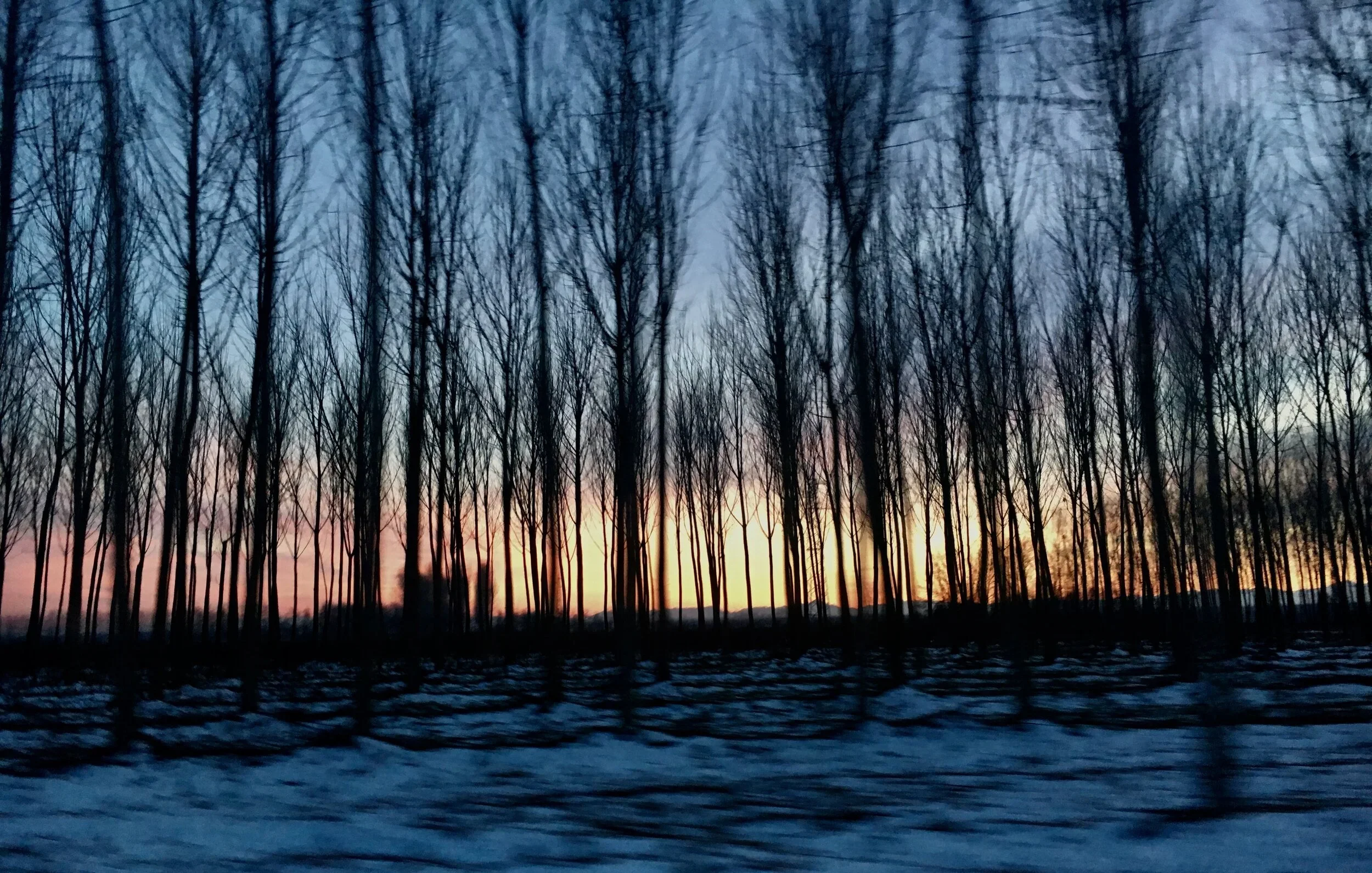 Nourishment for my political imagination