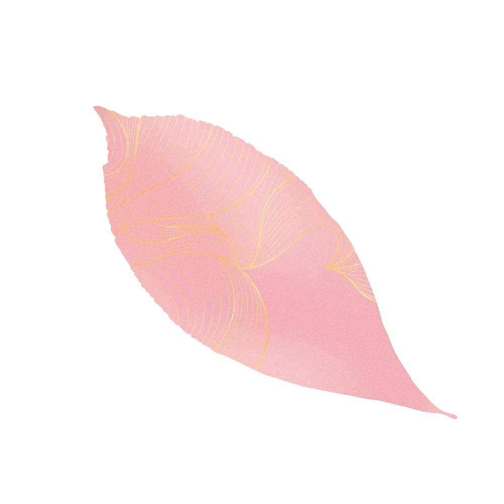 A pink leaf with gold vein patterns on a black background.
