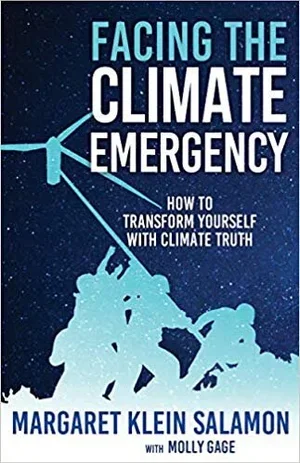 Book cover titled 'Facing the Climate Emergency' with an illustration of wind turbines and climbers on a mountain against a night sky background.