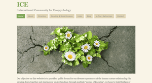 A cluster of white daisies with yellow centers and green leaves growing out of a crack in the pavement.