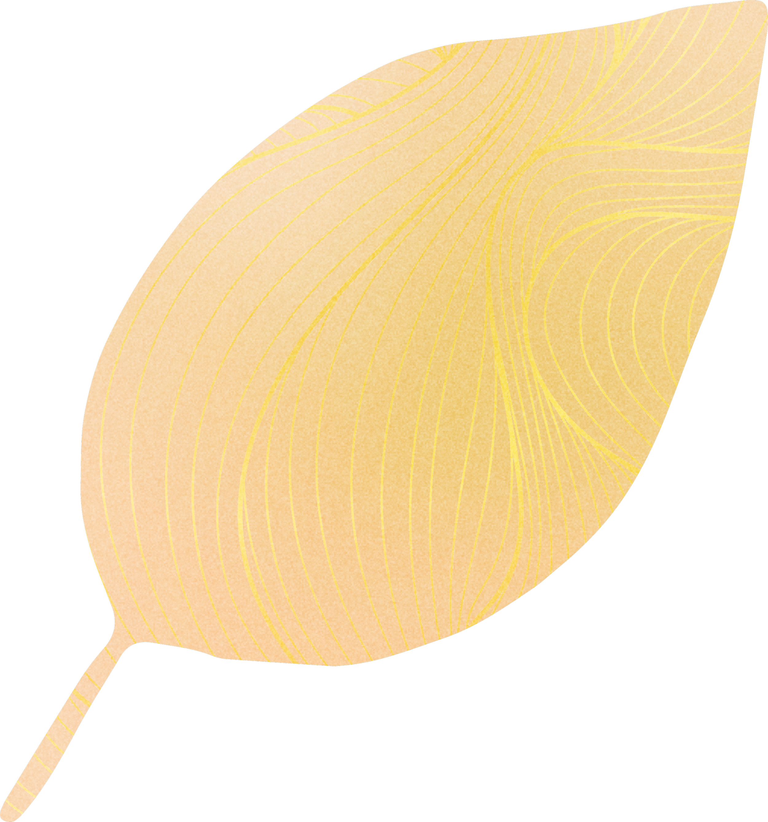 Close-up of a peeled clove of garlic resting on a dark surface.