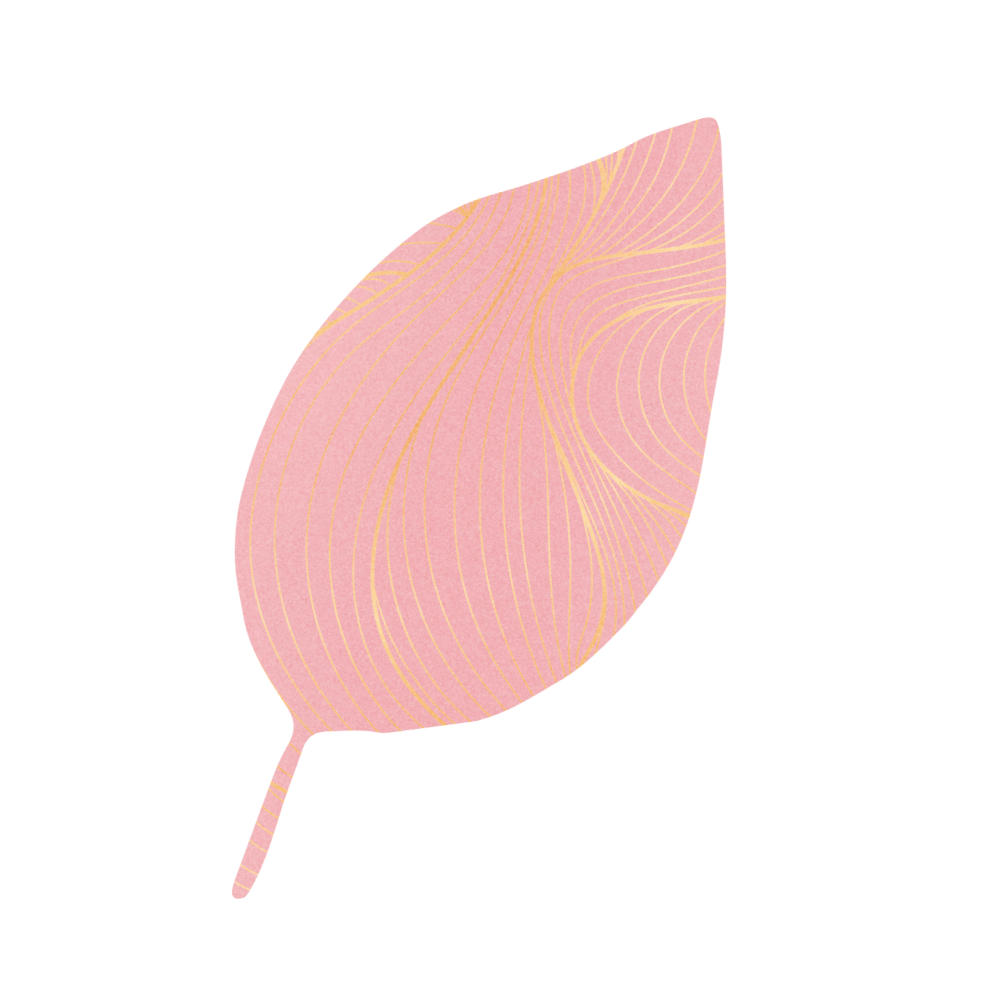 A digital illustration of a stylized pink fruit resembling a peach with a patterned leaf and a red background.