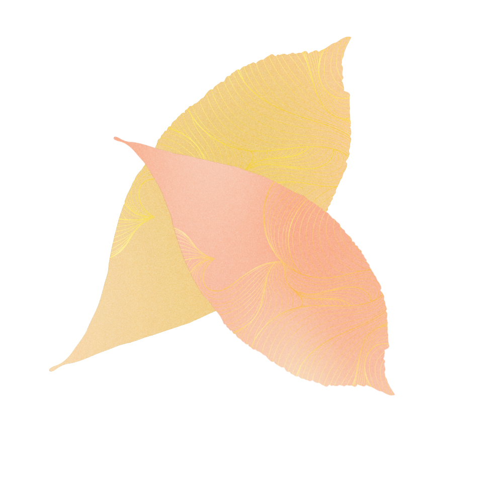 Abstract illustration of a star-shaped figure with leaf-like texture in pastel shades of yellow, pink, and beige.