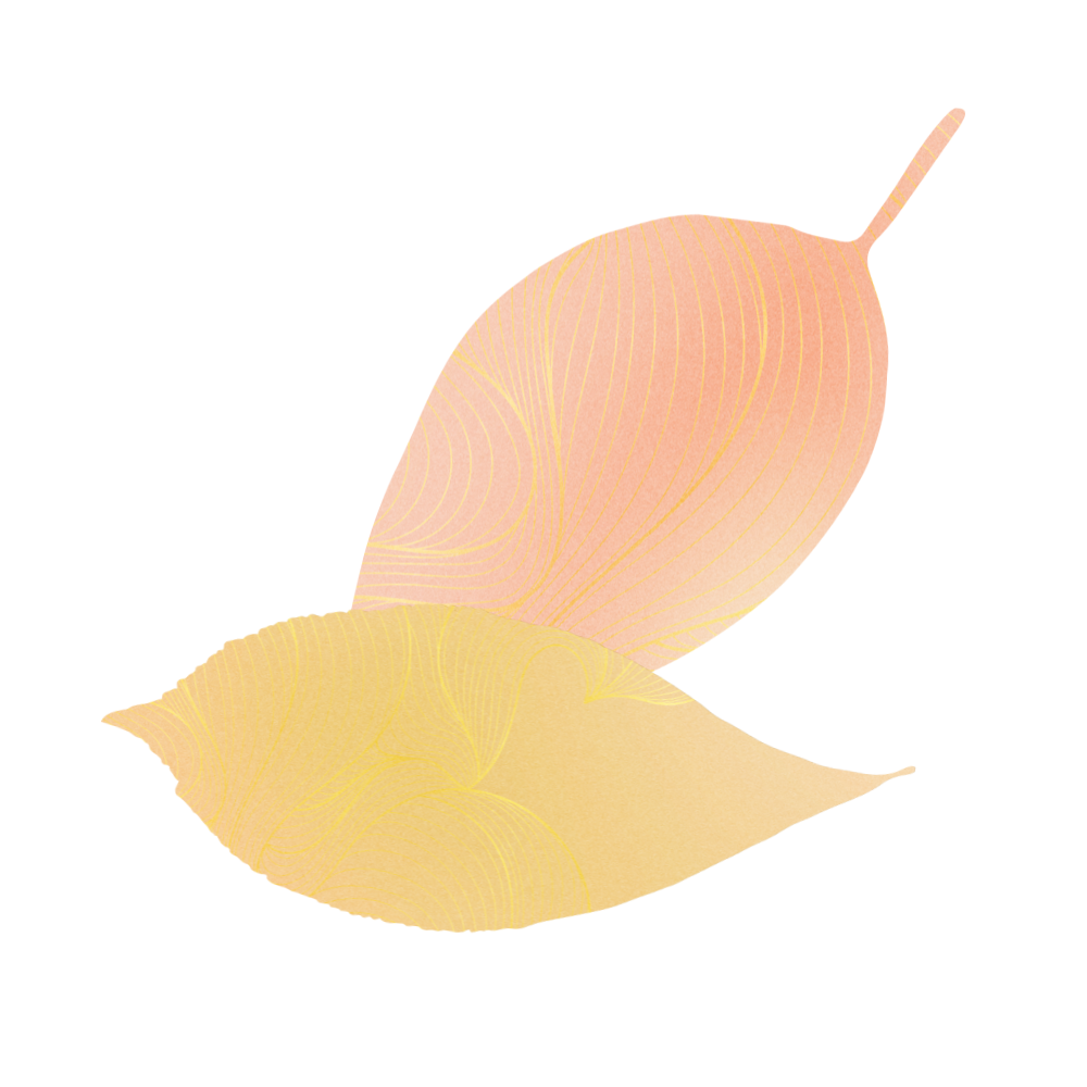 Two stylized leaves, one pink and one yellow, with thin, curved line patterns.