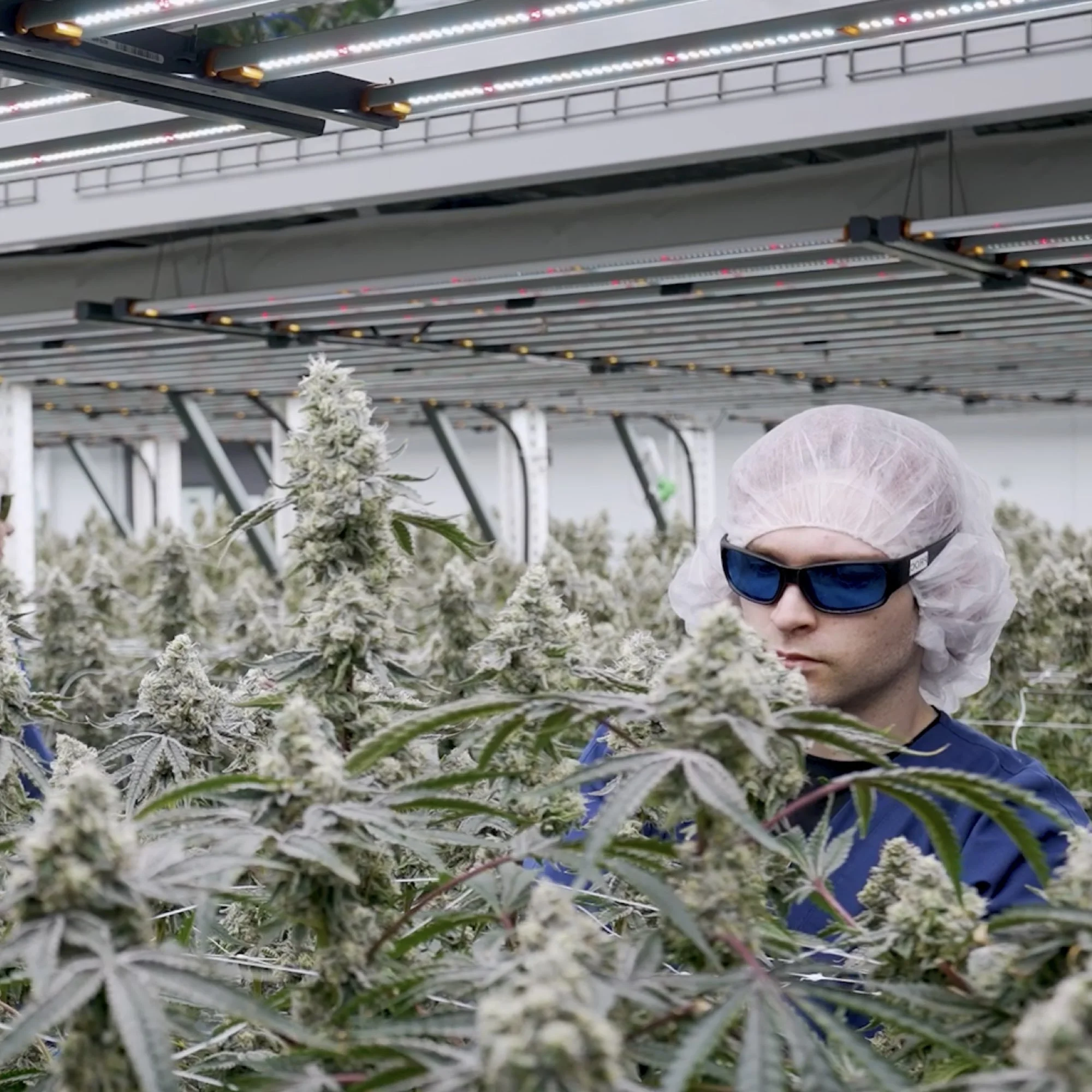 AYR: Capturing Product &amp; People