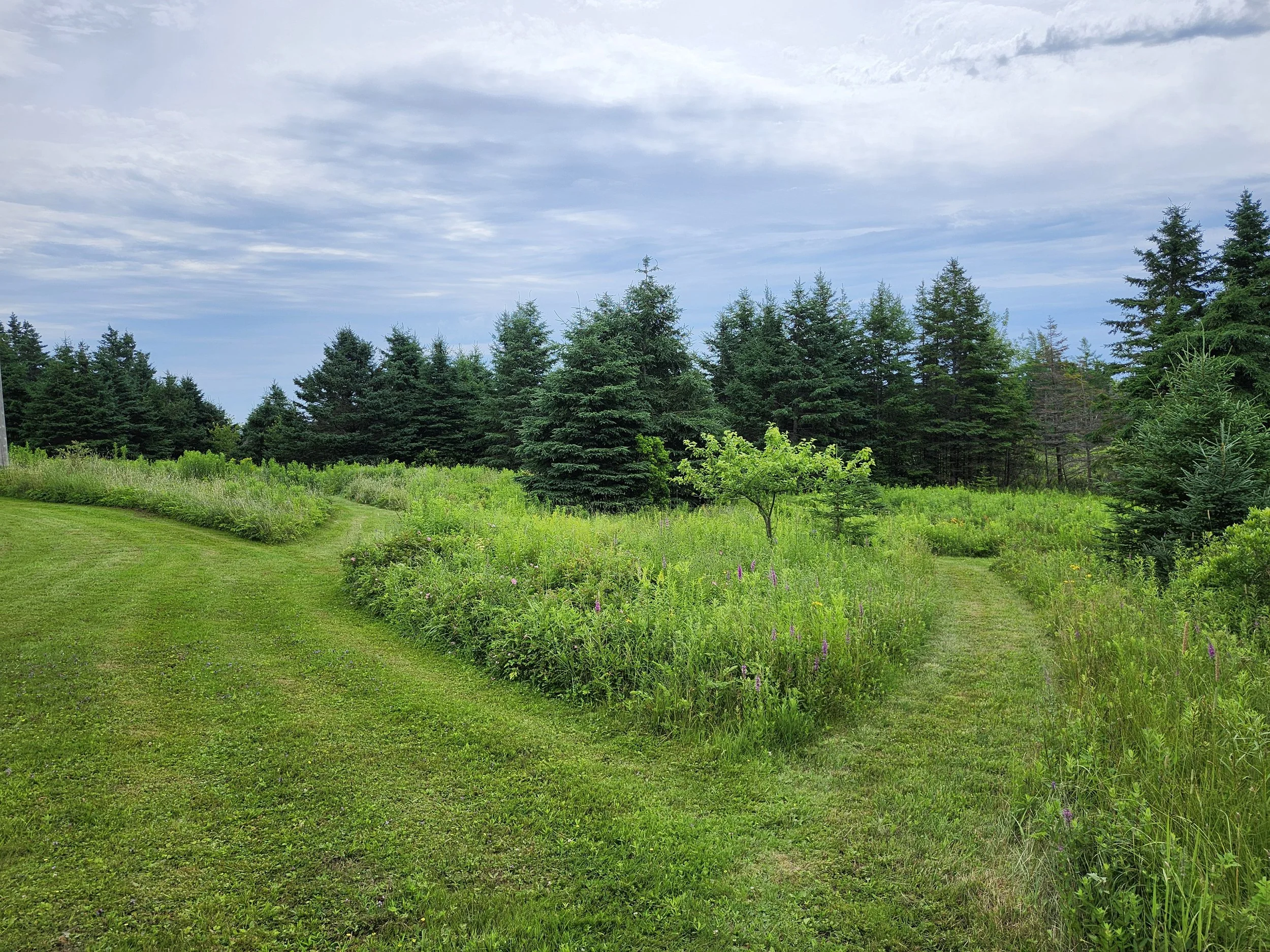 A gentle path made for unhurried moments.