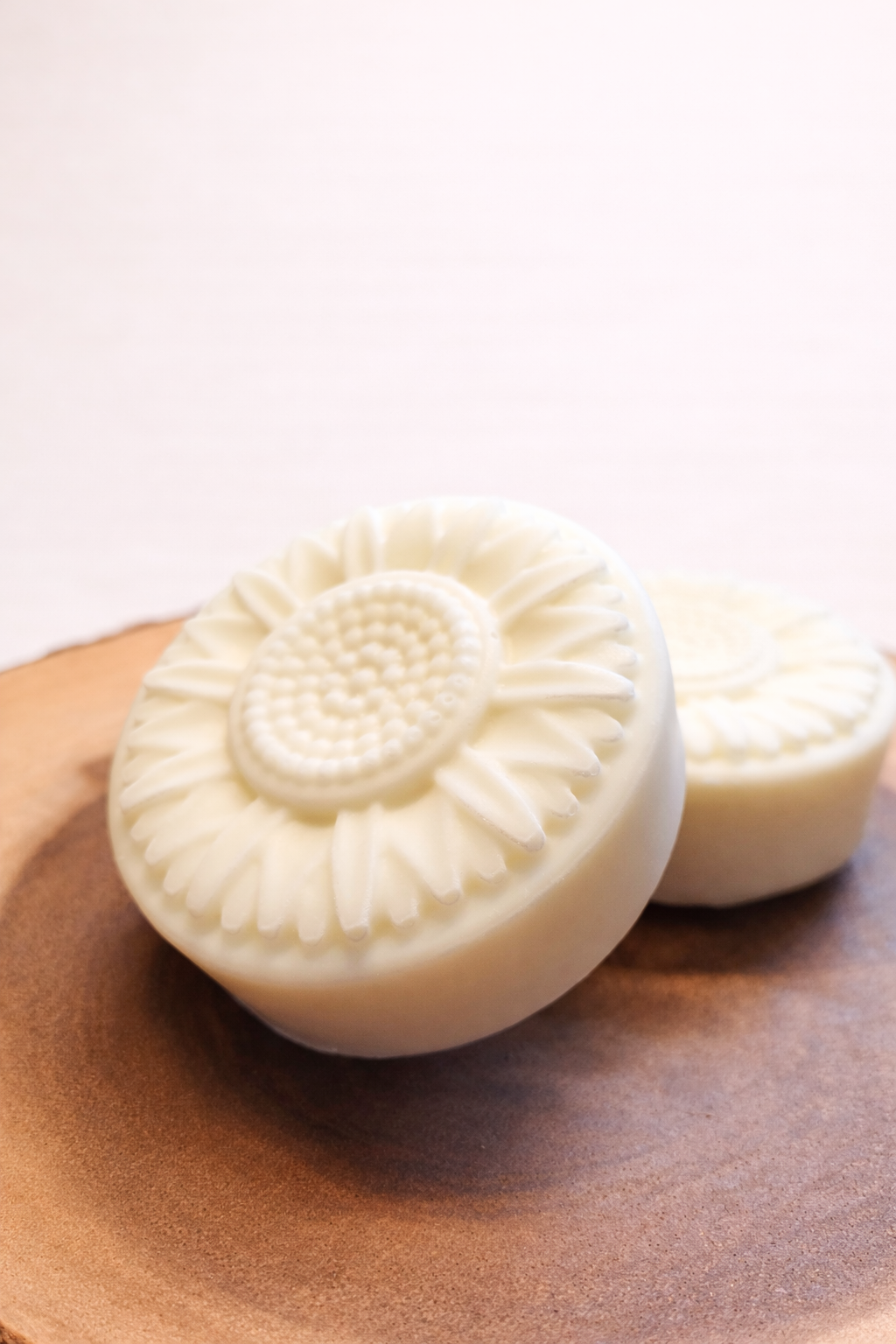 ChatGPT Image Feb 20, 2026, 12_02_20 PM.png