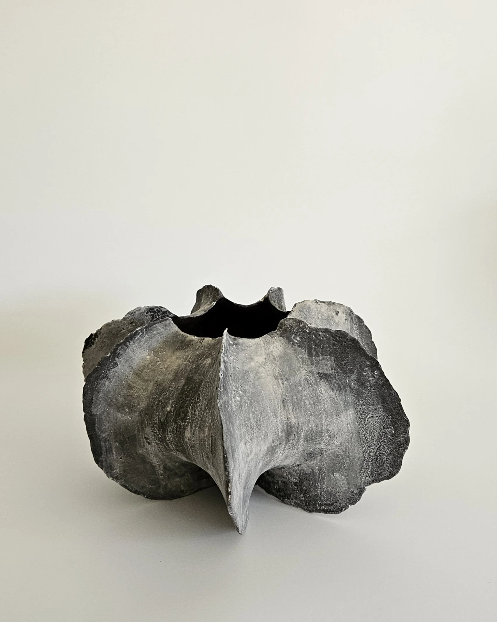 Small Seed Pod, 2025
stoneware with matte glaze
5” x 9”