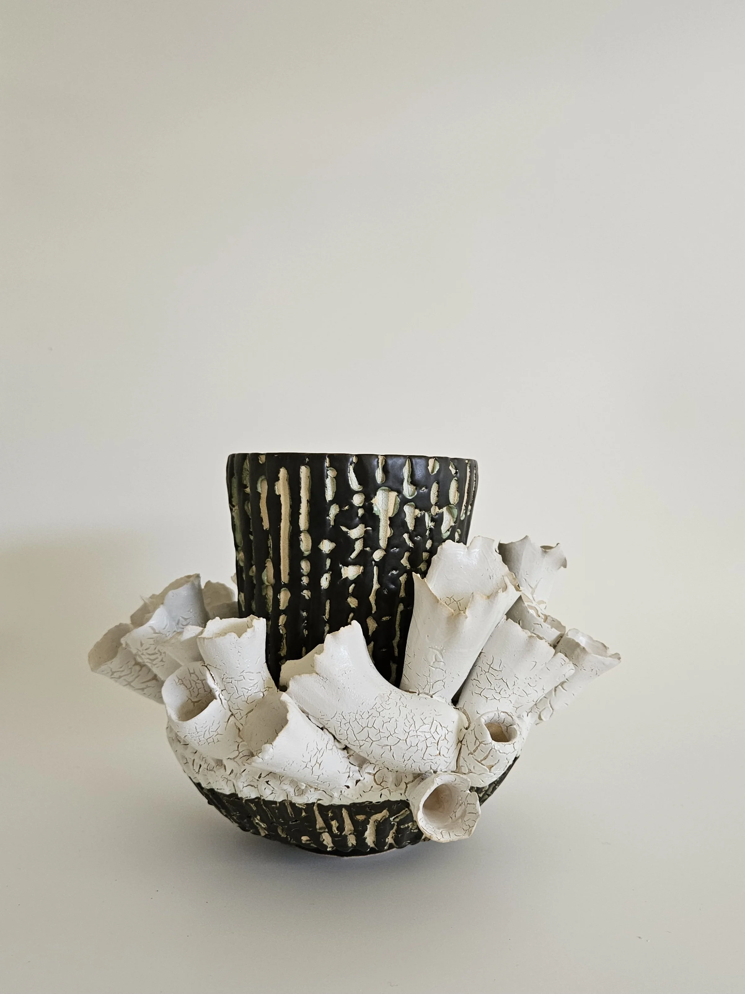 Bloom Vessel, 2024
stoneware with textured glaze
6" x 11"
