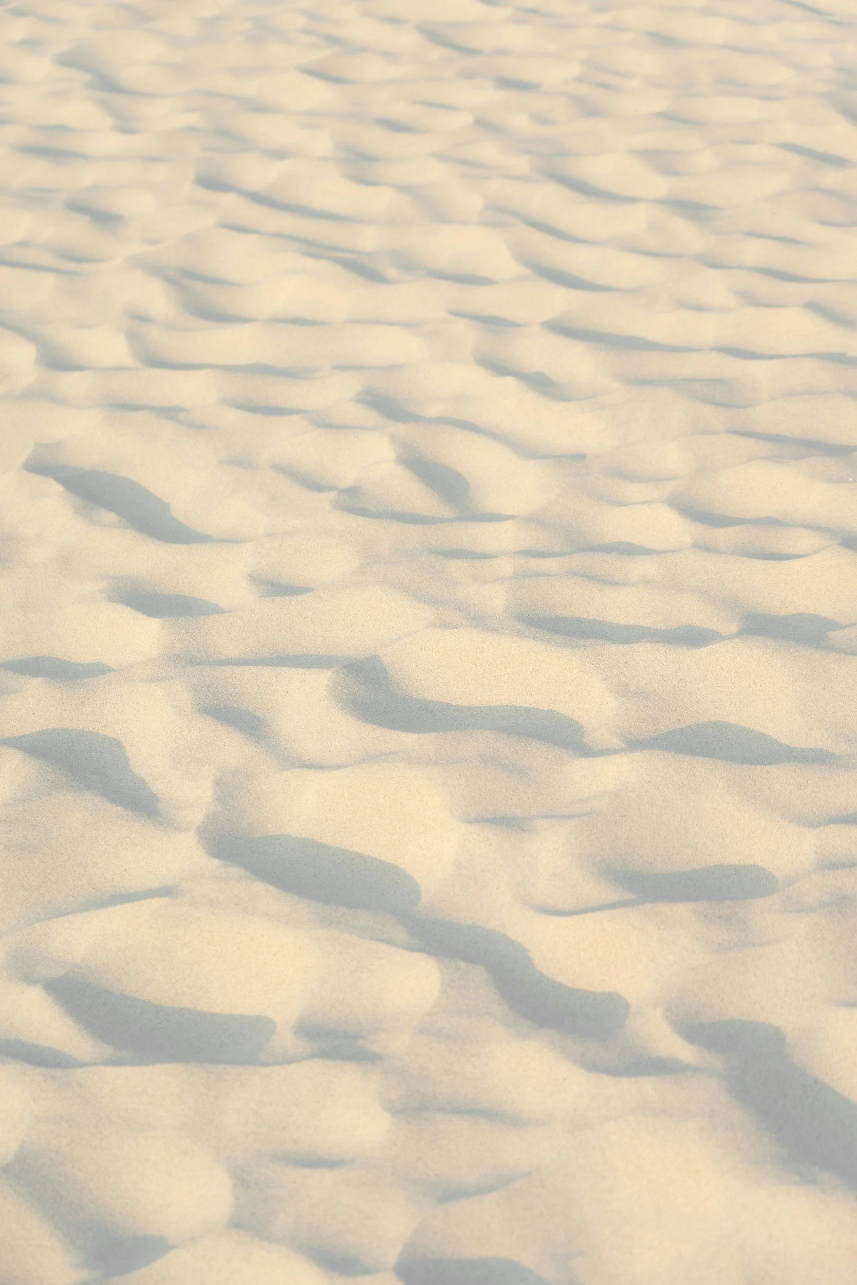 San dunes with wind-created ripples and shadows.