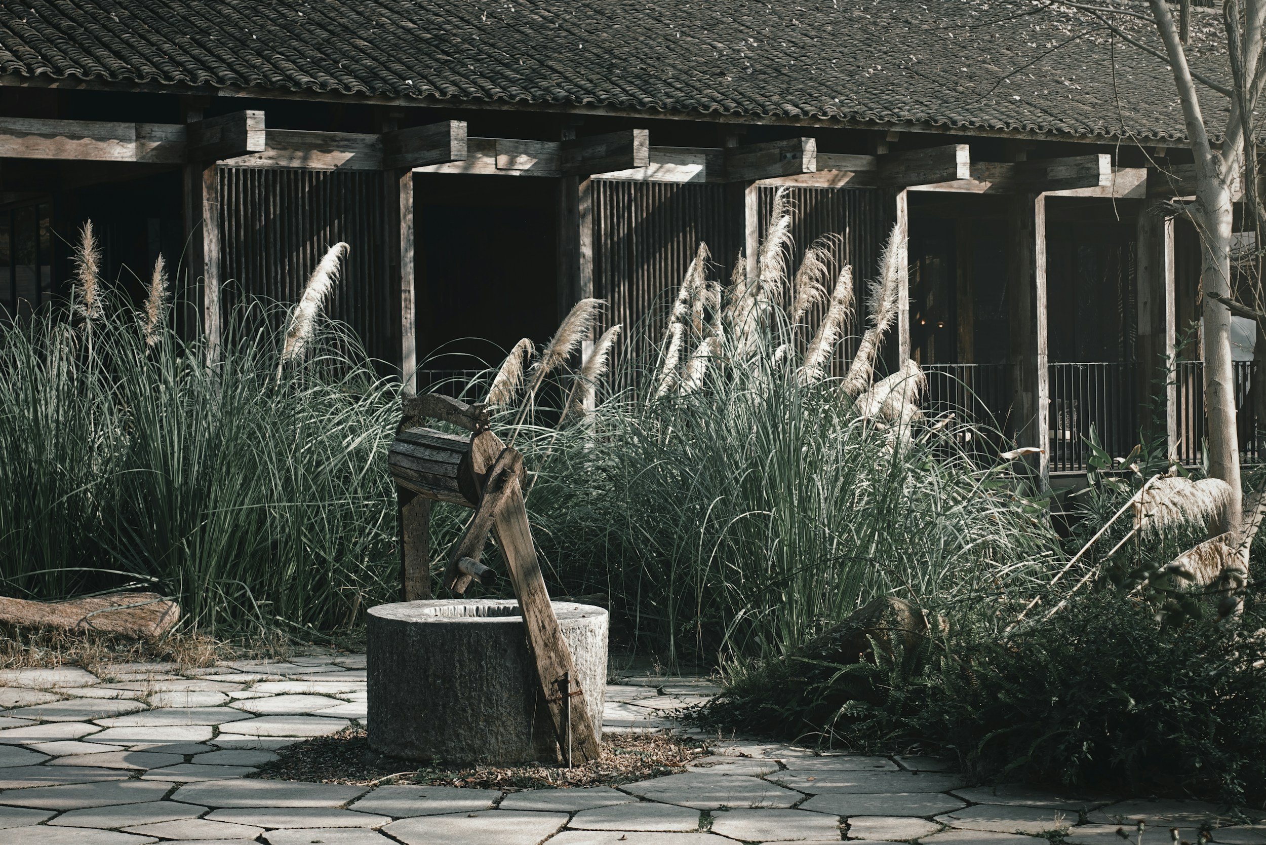 An old well with a wooden bucket and pail, surrounded by tall ornamental grass and plants, in front of a rustic wooden house with a tiled roof.