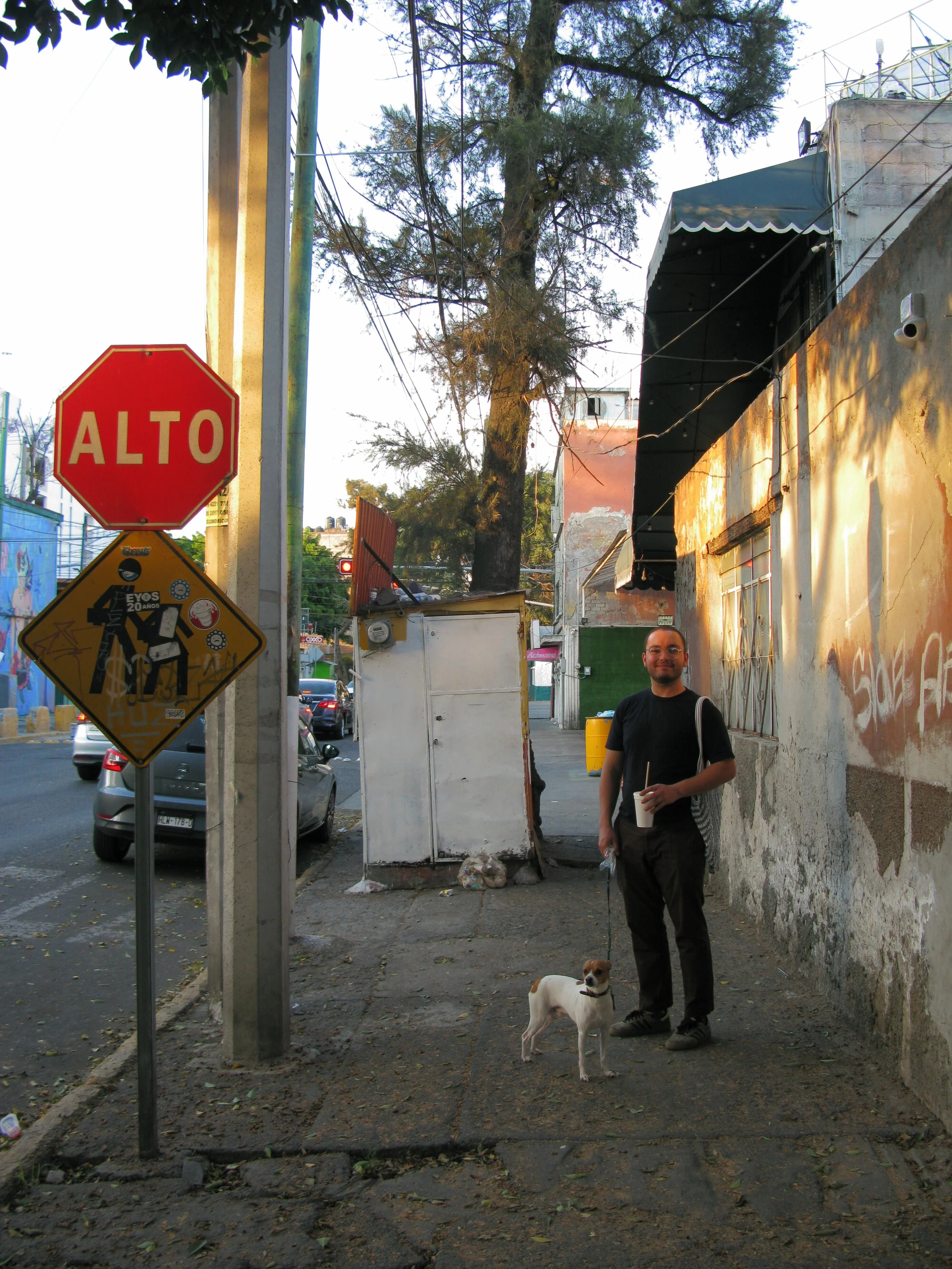 A man standing on a city sidewalk holding a dog leash with a small dog. There are traffic, street signs, and buildings in the background.