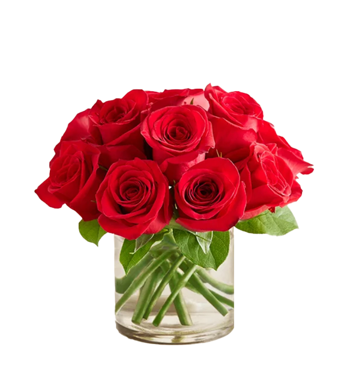 Dozen Red Roses