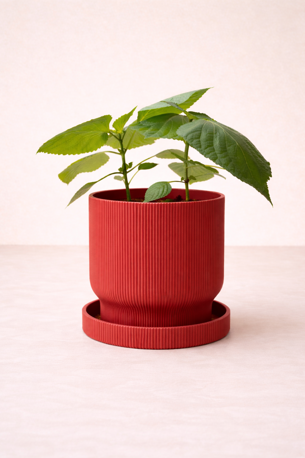 Pot de plante Élysée - Minimaliste