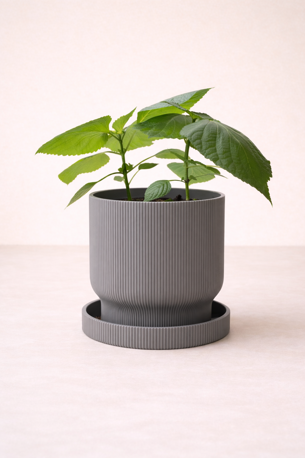 Pot de plante Élysée - Minimaliste