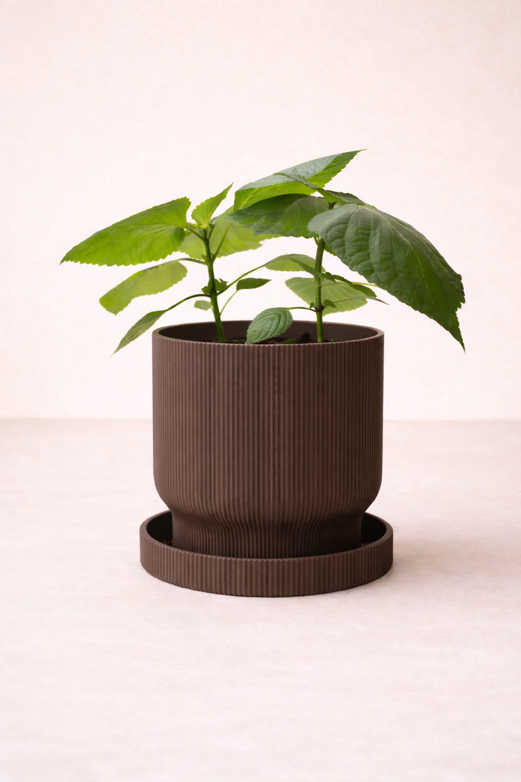 Pot de plante Élysée - Minimaliste