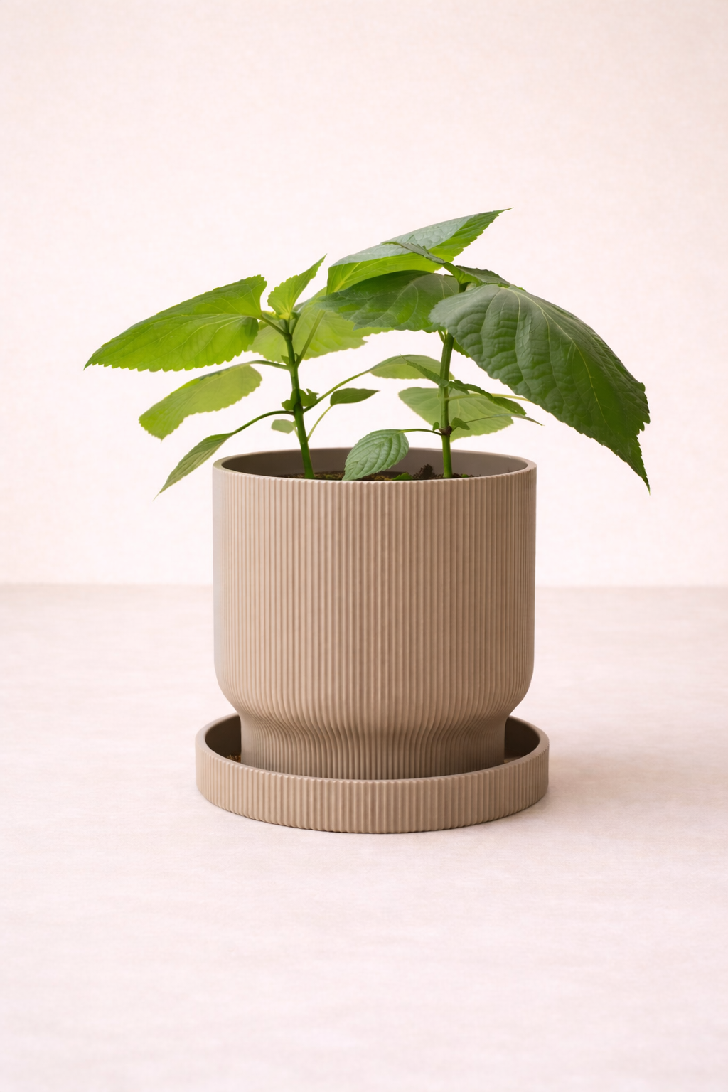 Pot de plante Élysée - Minimaliste