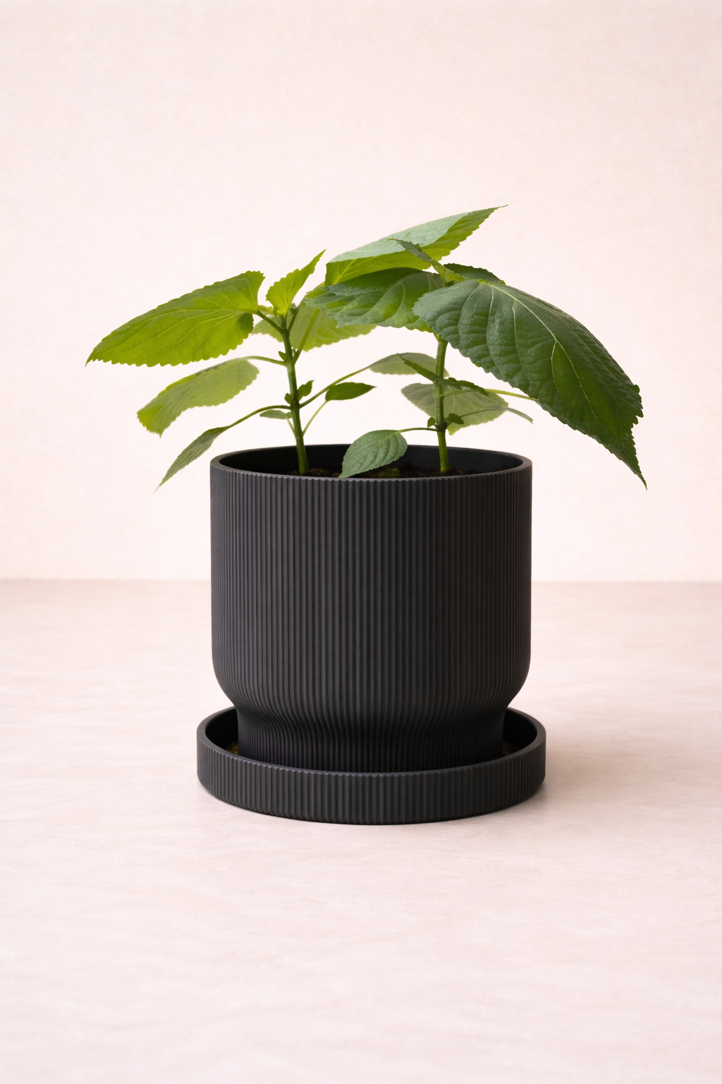 Pot de plante Élysée - Minimaliste