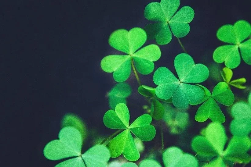 Creating Your Own Luck - Today and Everyday