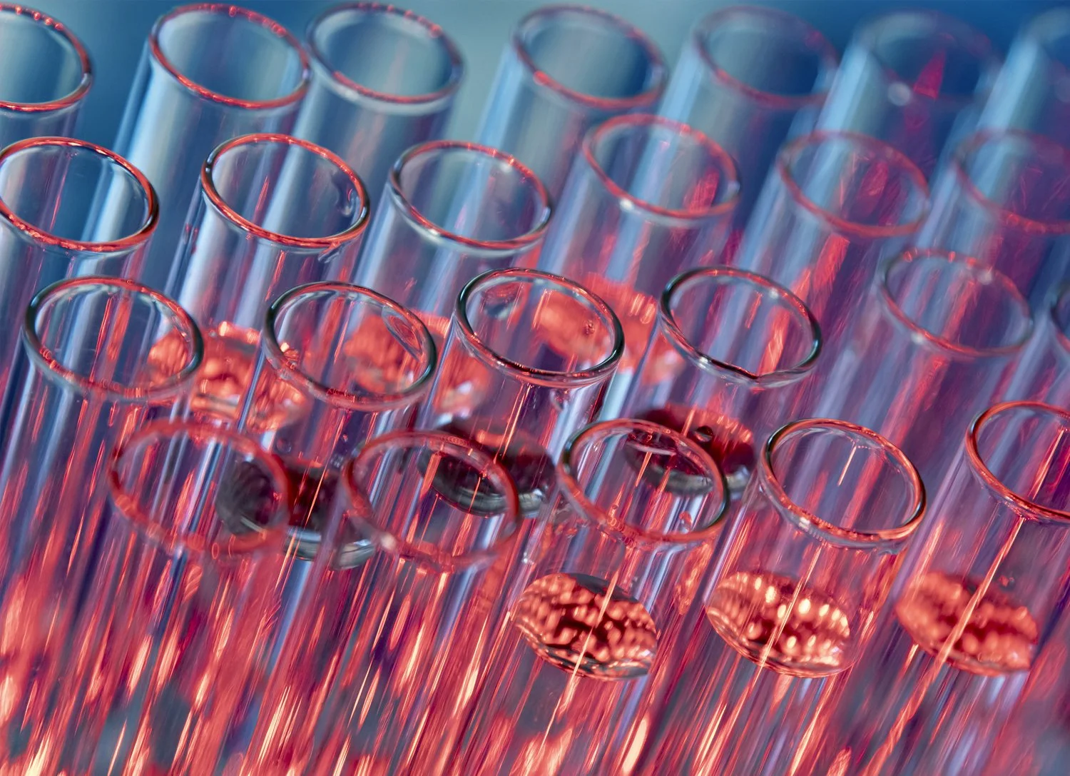 Close-up of multiple glass test tubes arranged in a container, with a reddish hue reflecting light.