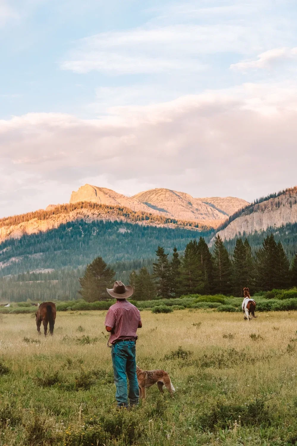 Person wearing a cowboy hat and red-striped shirt stands with a dog in a grassy field with horses, trees, mountains, and a partly cloudy sky in the background.