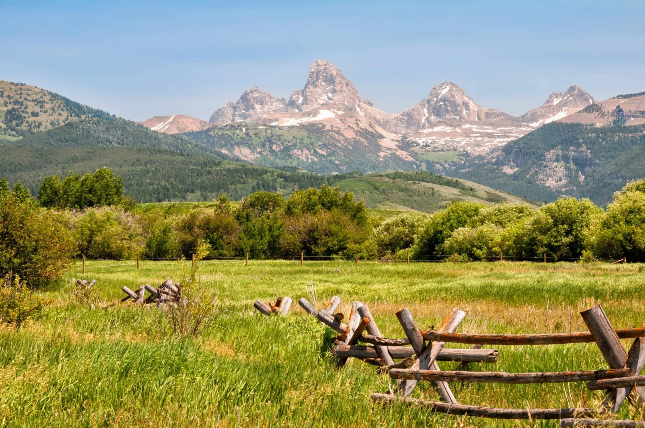Scenic landscape of lush green fields, trees, and mountains with snow patches in the distance under a blue sky.