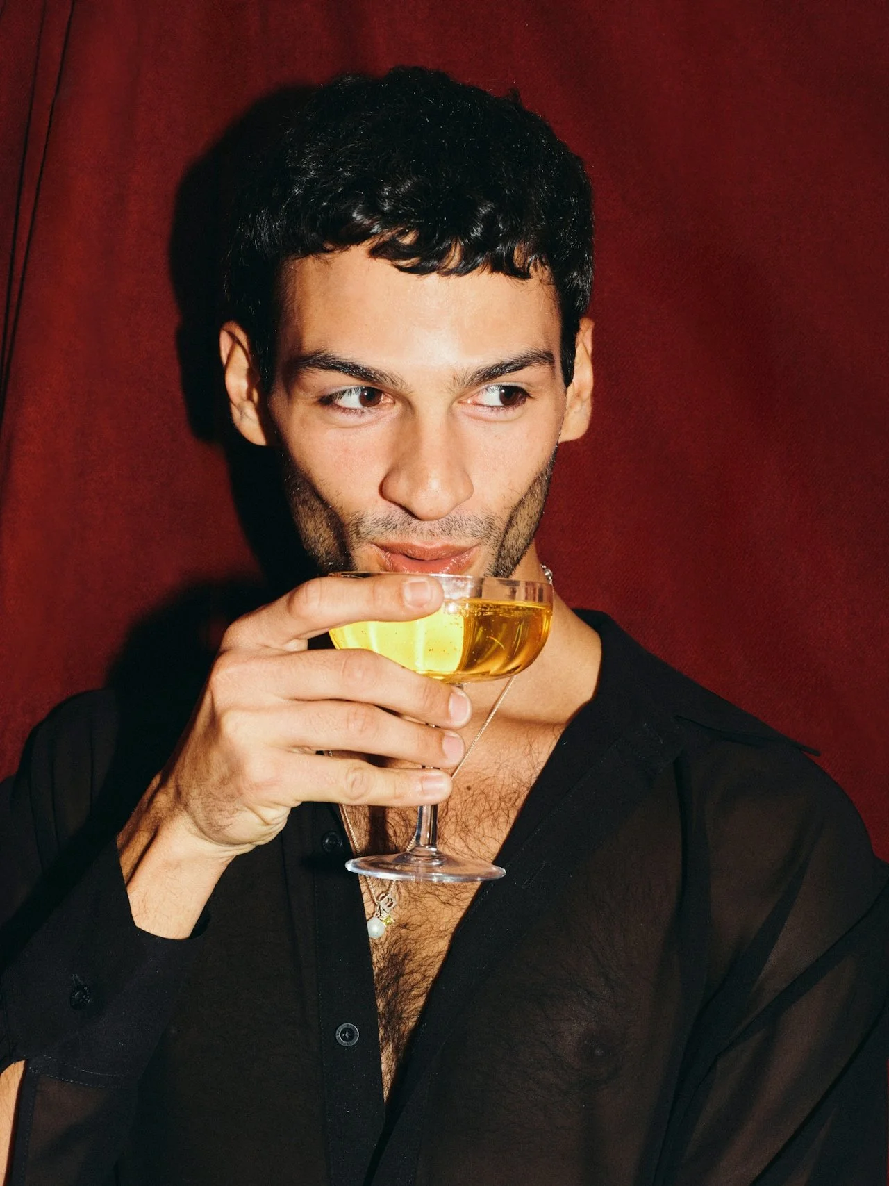 A man with dark hair and a beard holding a champagne glass filled with a yellow beverage, wearing a black, semi-sheer shirt, against a dark red background.