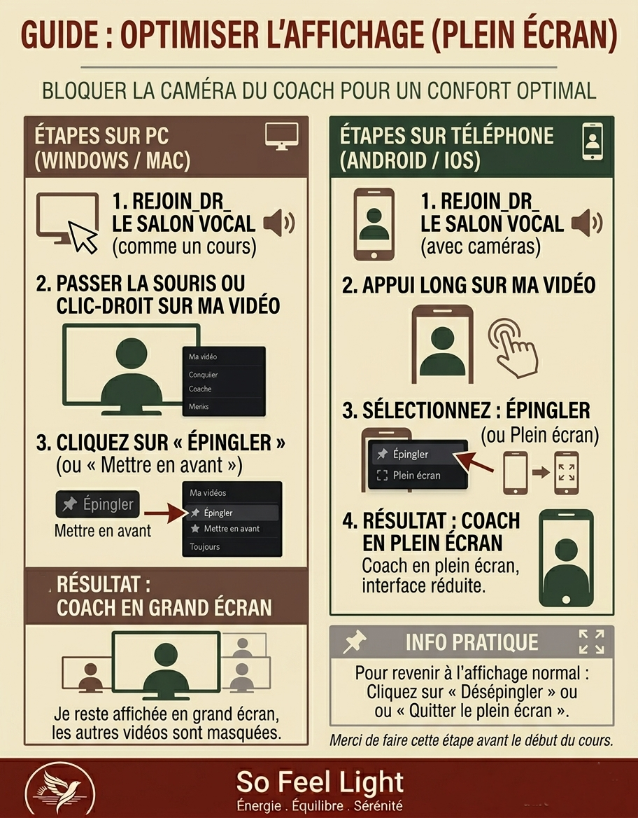 Guide pour optimiser l'affichage en mode plein écran sur PC et téléphone. Étapes pour rejoindre un salon vocal, passer la vidéo, sélectionner l'option d'épingler ou en plein écran, et revenir à l'affichage normal.