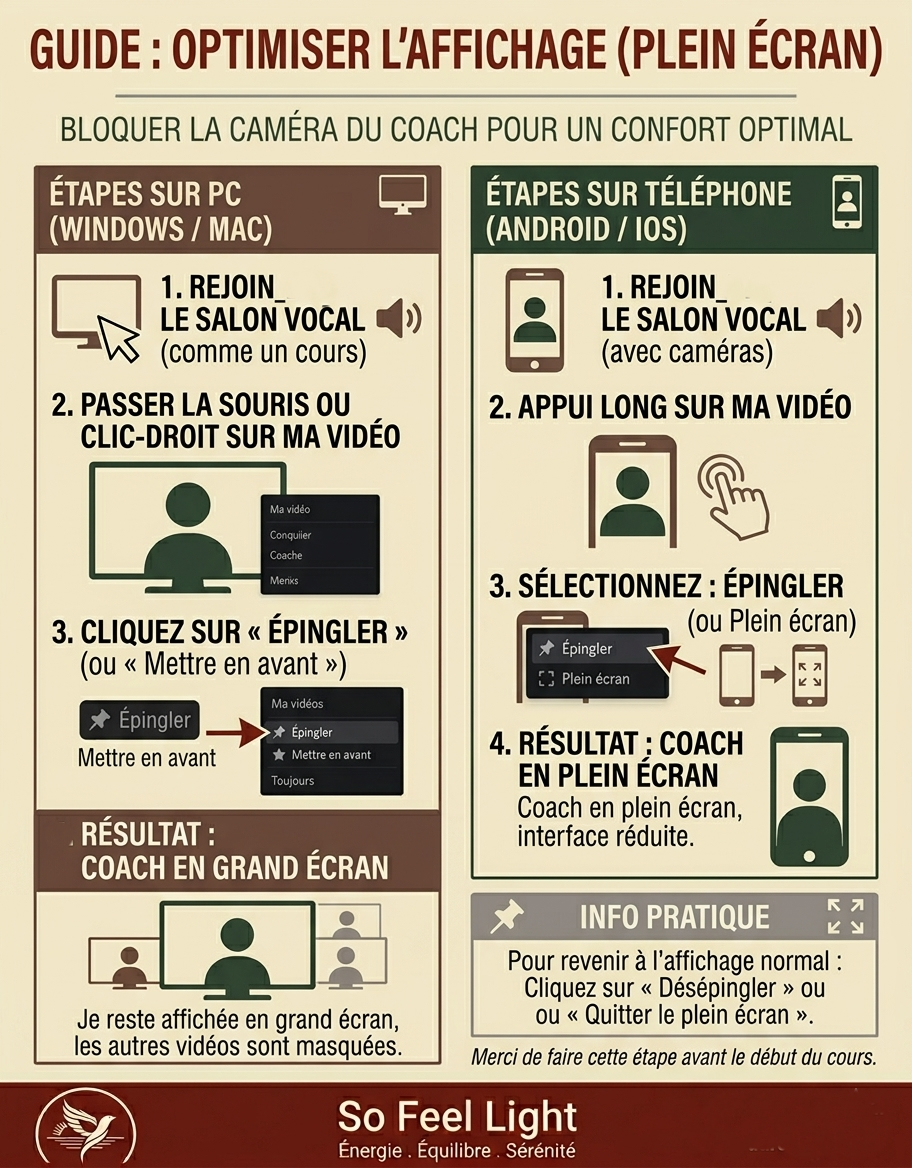 Guide pour optimiser l'affichage en mode plein écran sur PC et téléphone. Étapes pour rejoindre un salon vocal, passer la vidéo, sélectionner l'option d'épingler ou en plein écran, et revenir à l'affichage normal.