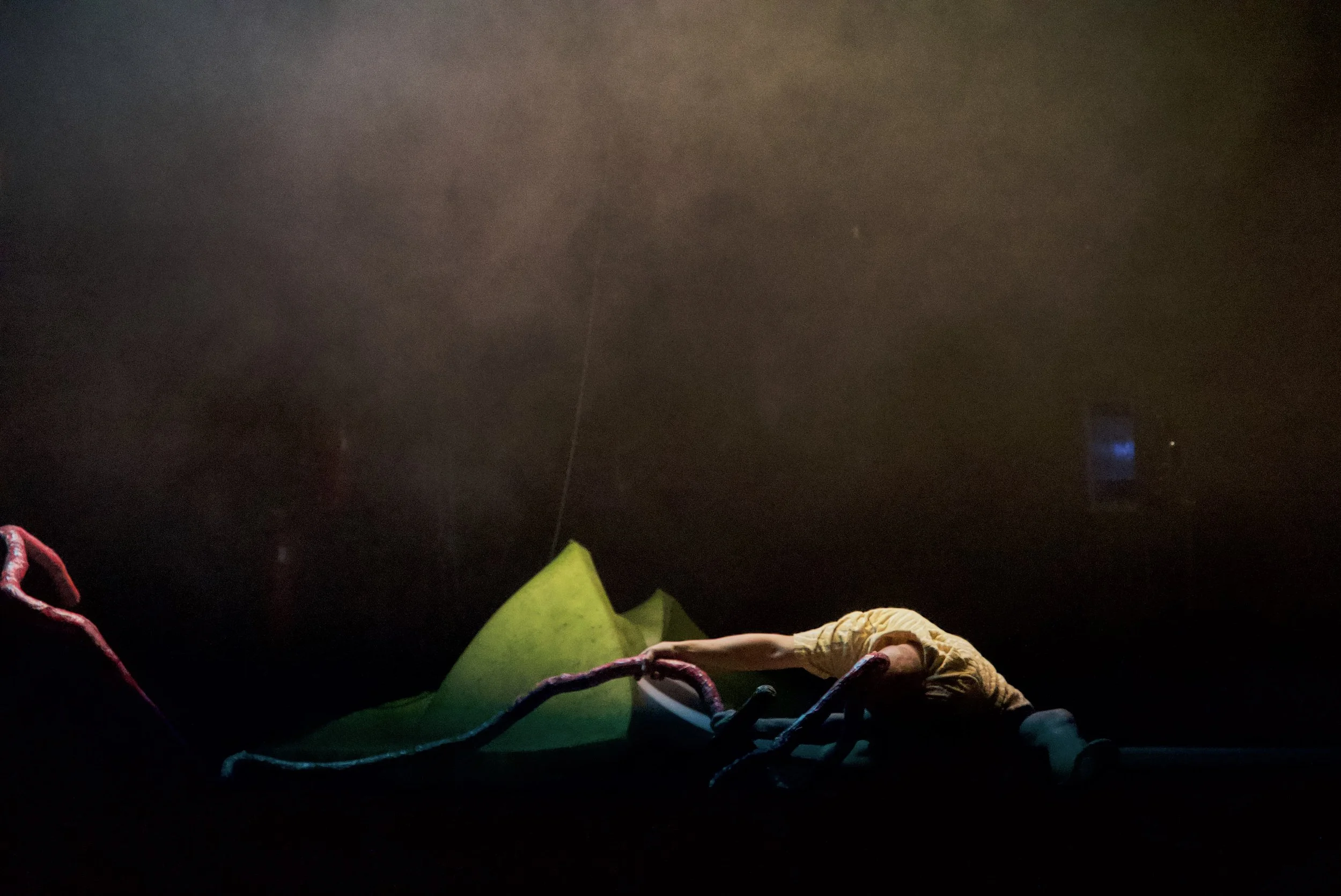 ATR *****8 - @Shumpei Nemoto.jpg