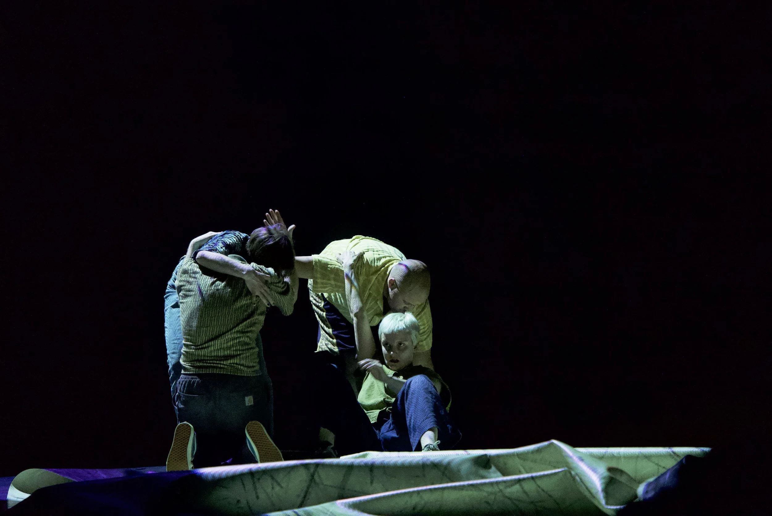 ATR *****11 - @Shumpei Nemoto.jpg