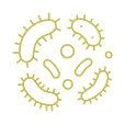 Icon of microbiomes