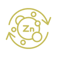 Icon of zinc, representing nutritional defeciencies