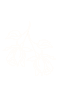 White floral outline on a black background.
