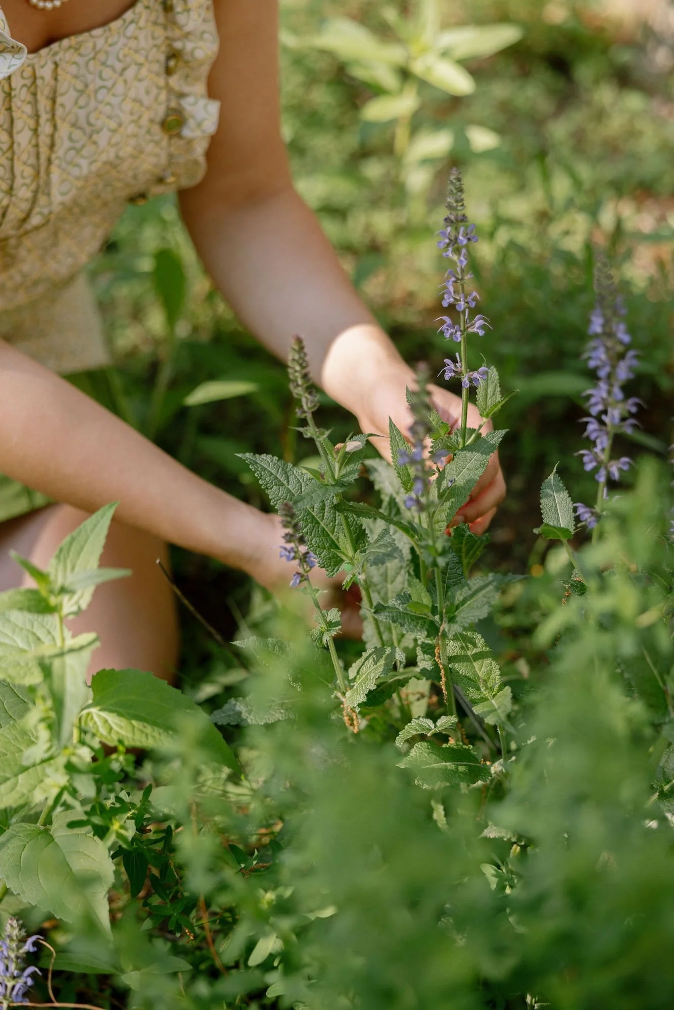 Ava is picking herbs for personalized wellness plans